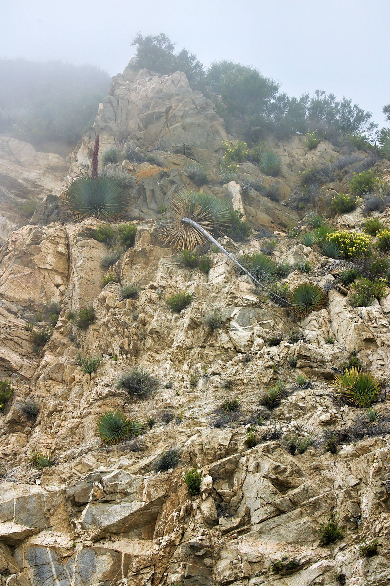 CA_LA_20030514_0028_PS