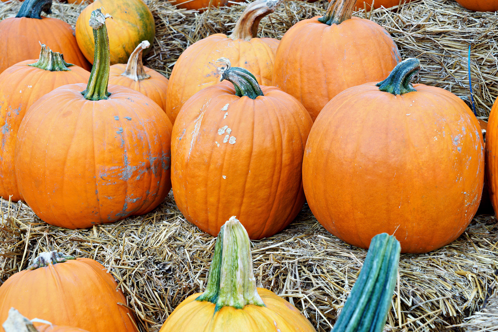 IN_20141010_0088_PS