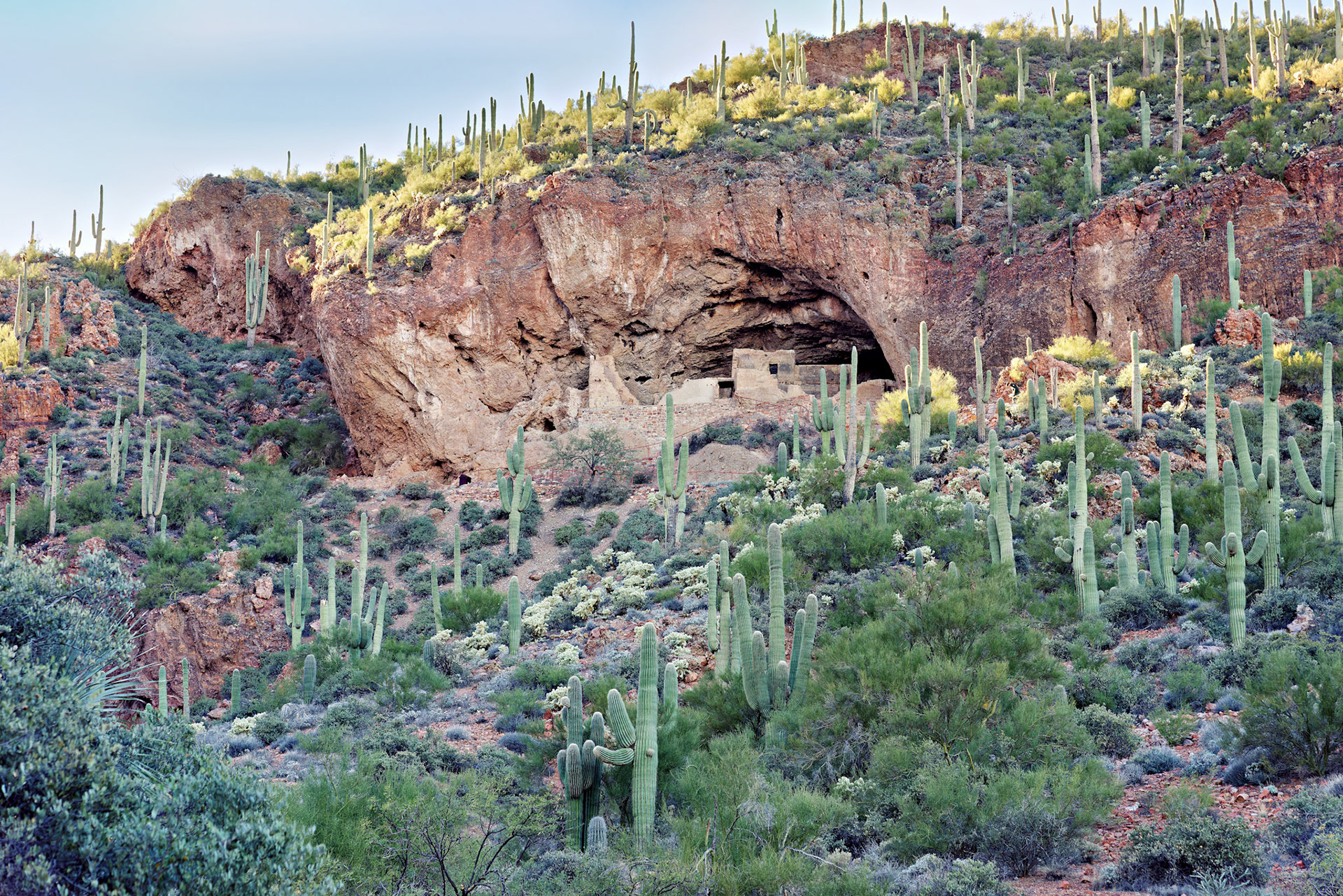 AZ_20121210_0453_PS
