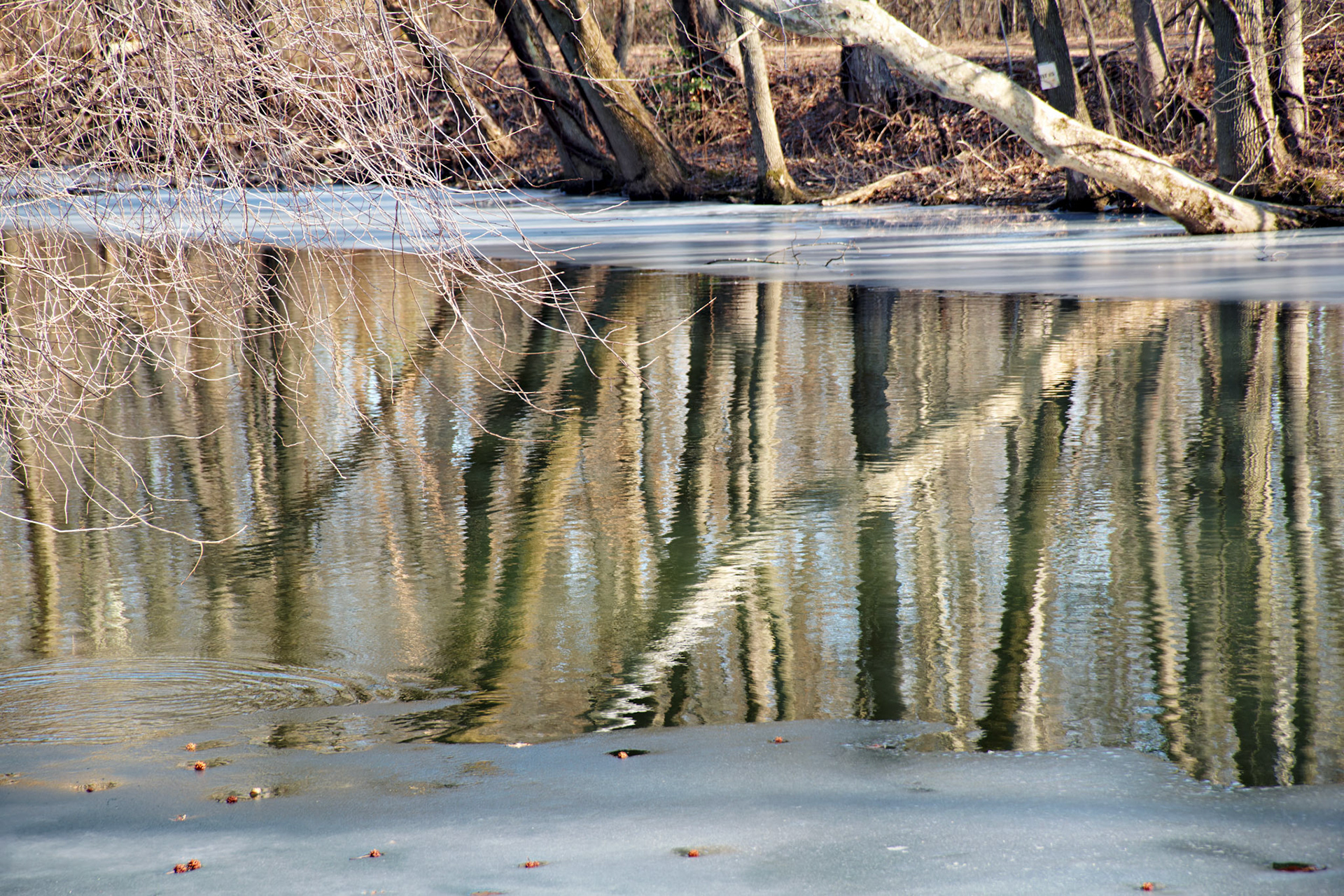 NJ_20090209_0456_PS