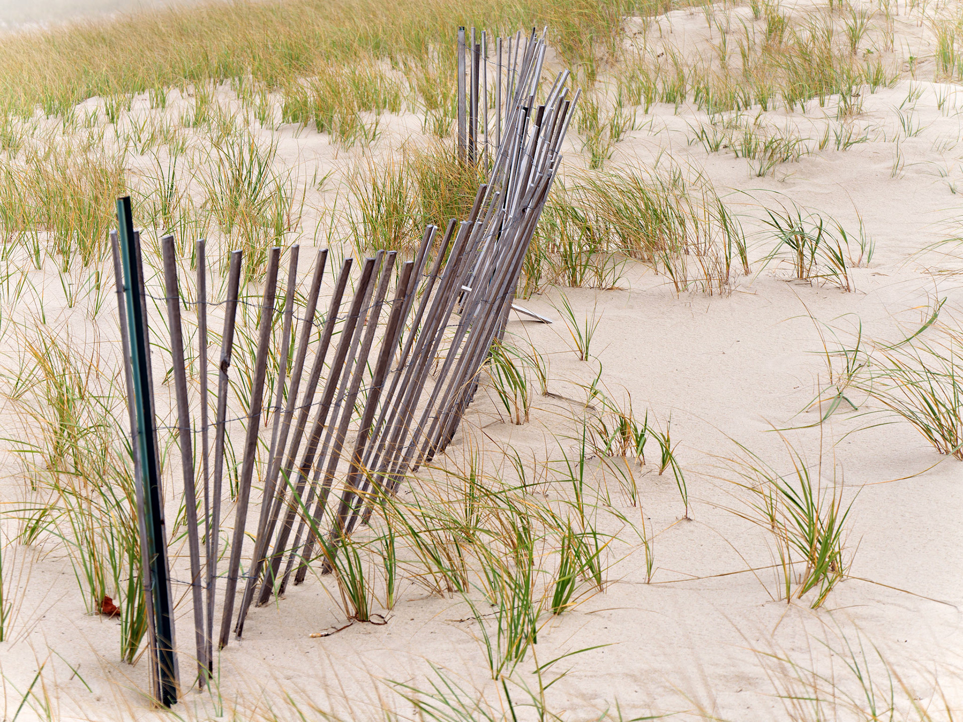 MA_CapeCod_20151029_0325_PS