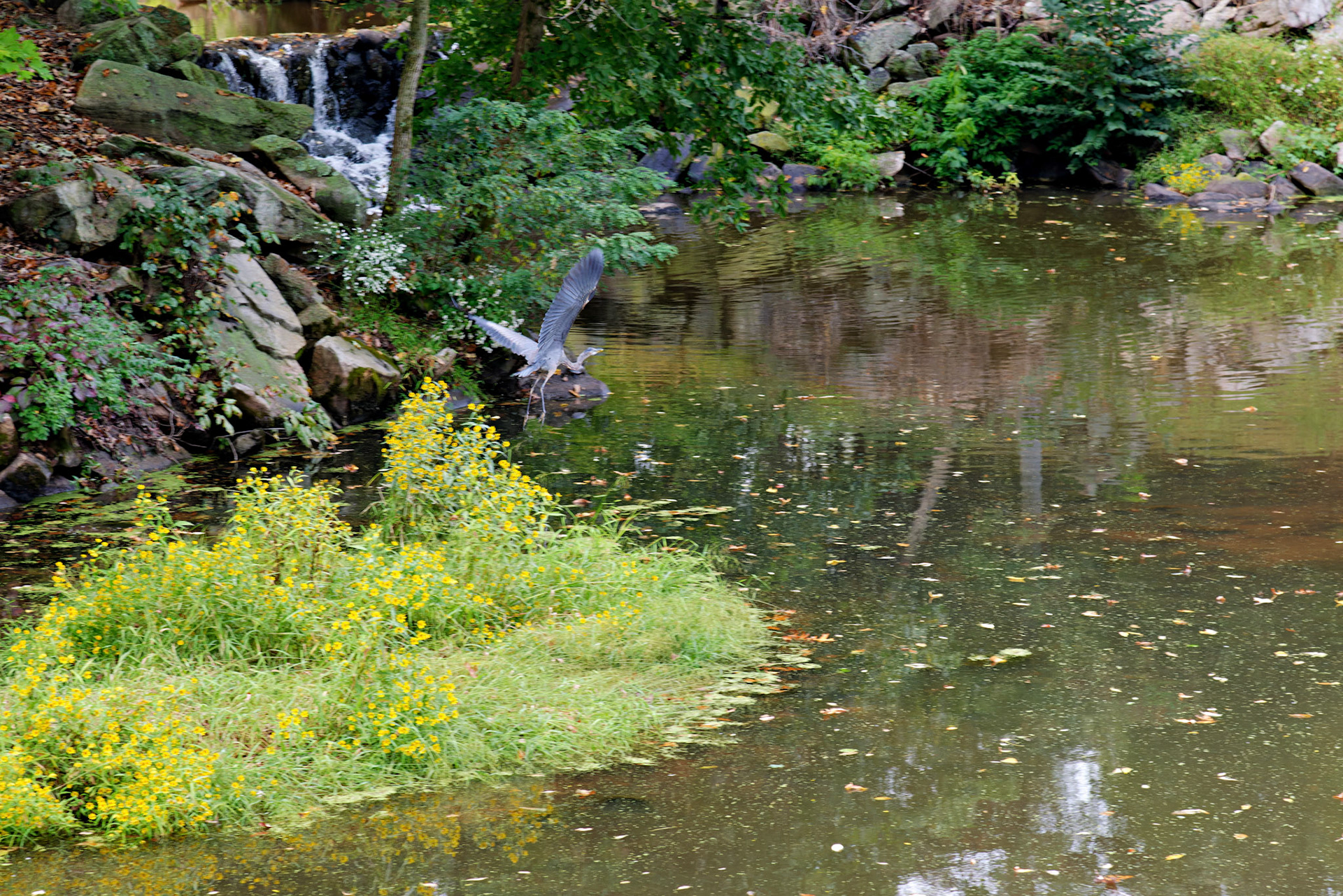 NJ_DukeEstate_20120928_0123_PS