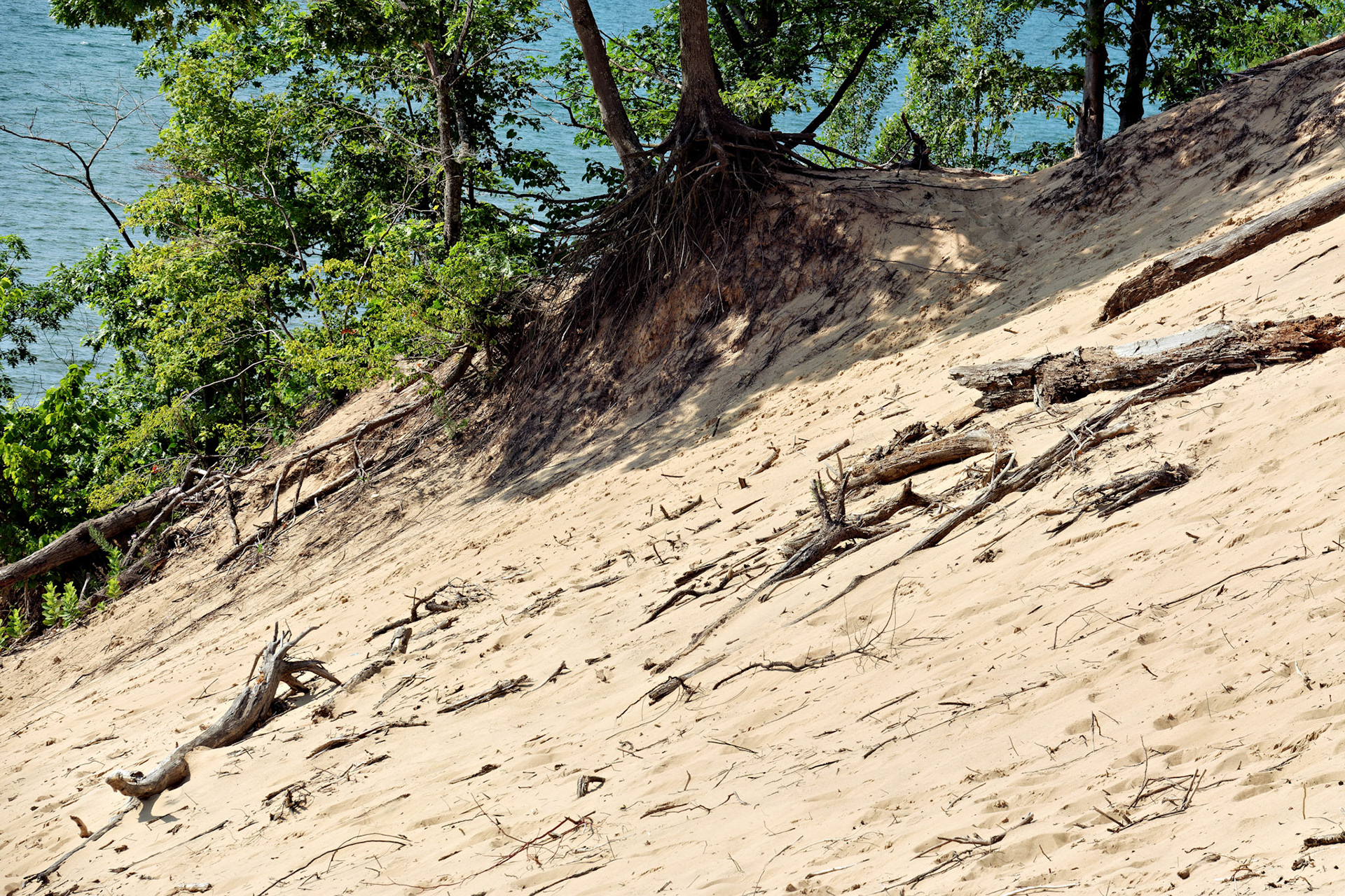 MI_New BuffaloArea_20170715_0259_PS