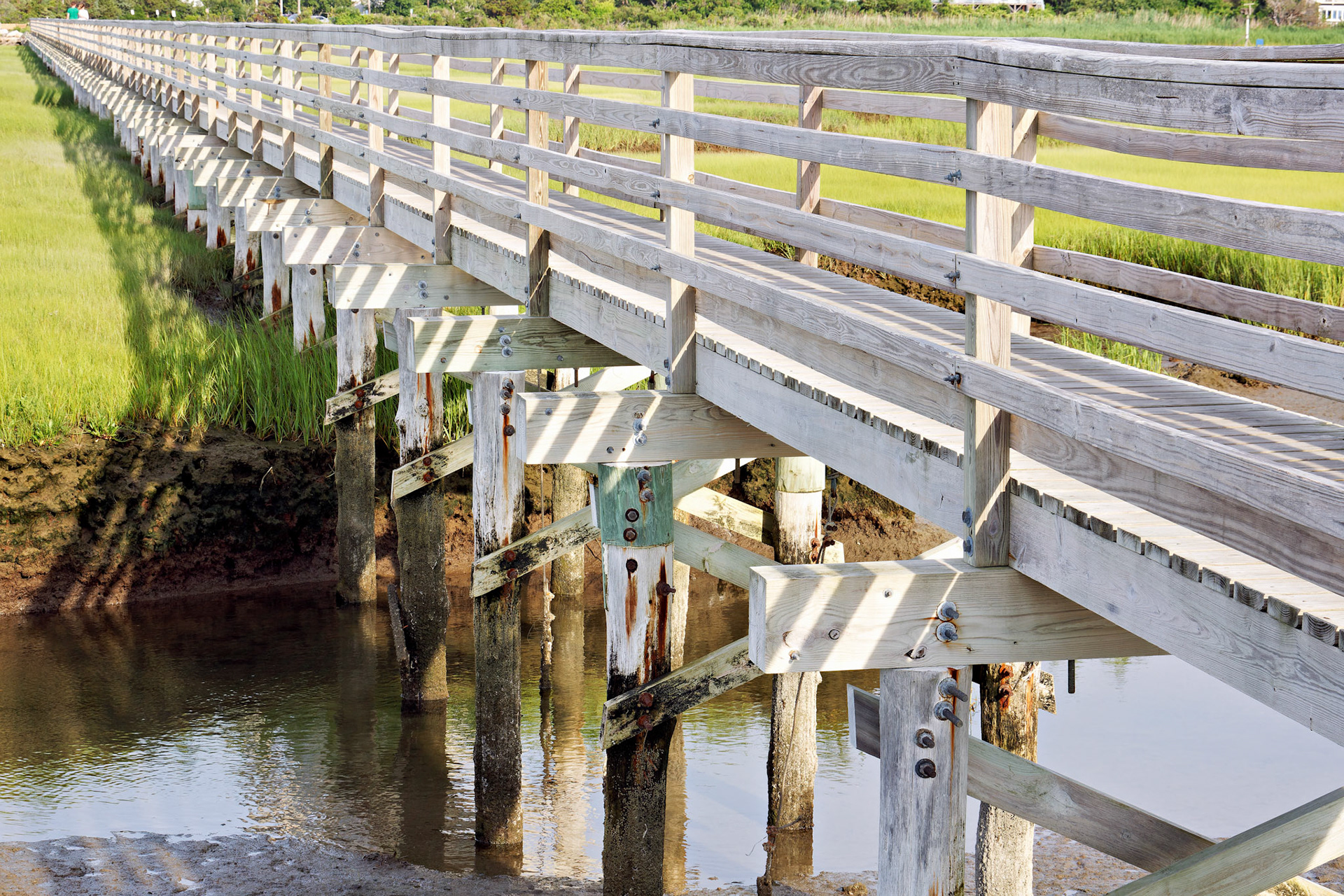 MA_CapeCod_20150717_0254_PS