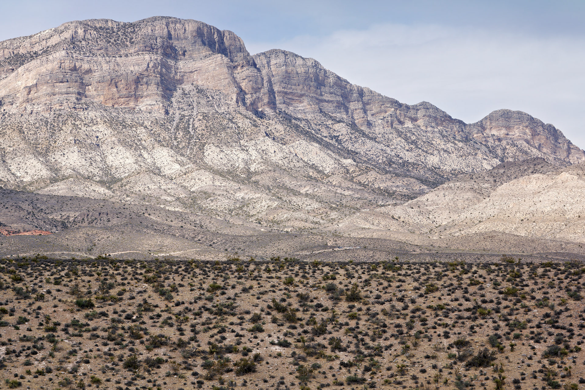 NV_Deserts_20120312_0092_PS.tif