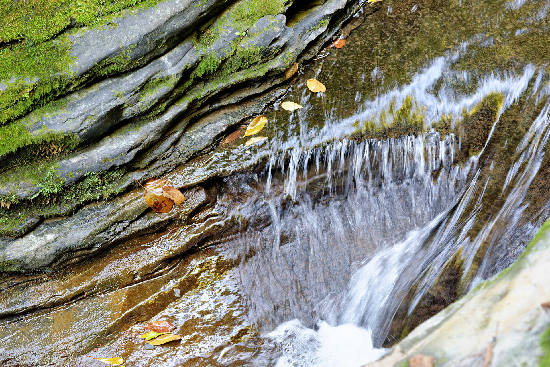 NY_FingerLakes_20120927_0124_PS.tif