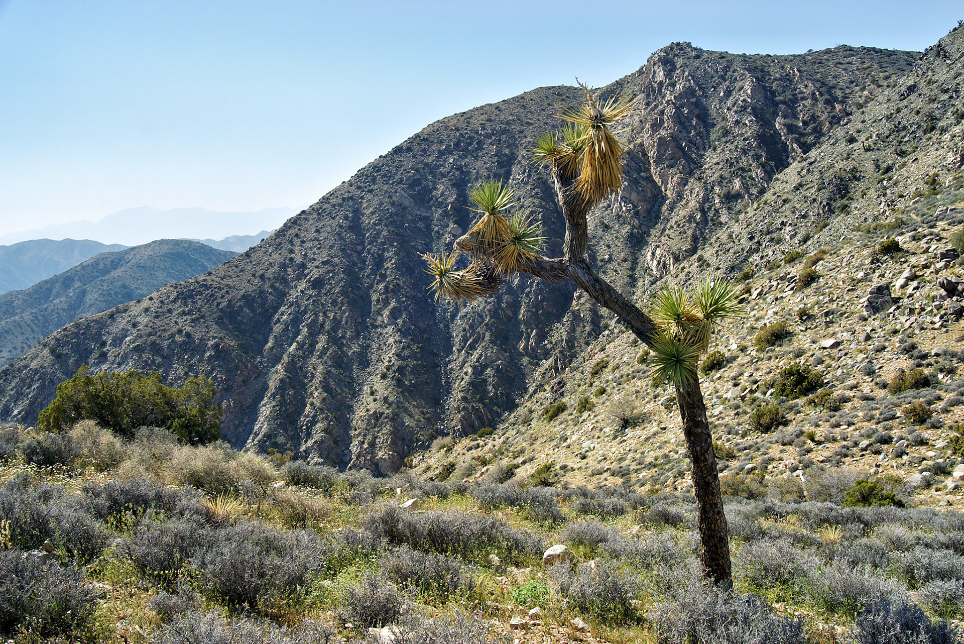 CA_LA_20030514_0073_PS