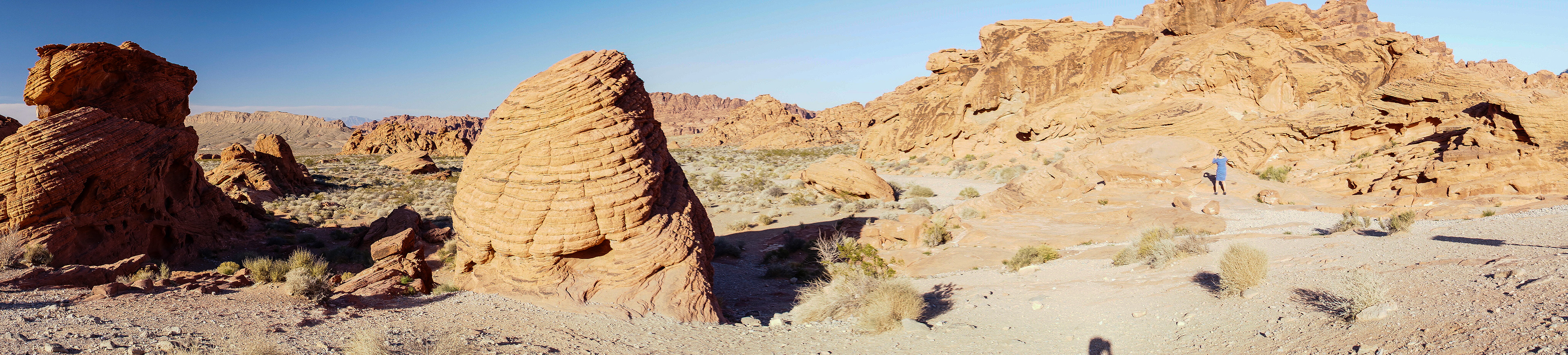 NV_Deserts_20120313_0261_PS
