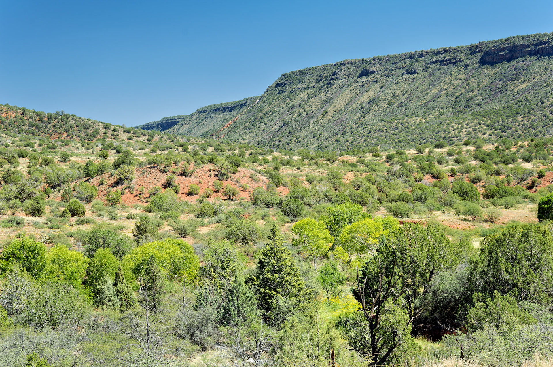 AZ_20060917_0068_PS.dng