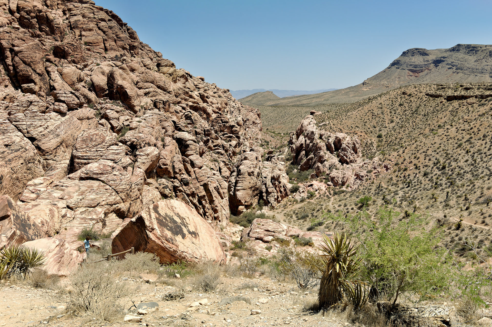NV_20070531_0118_PS