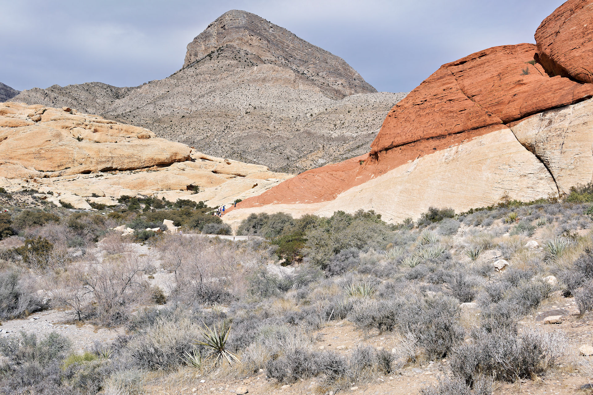 NV_Deserts_20120312_0071_PS.tif