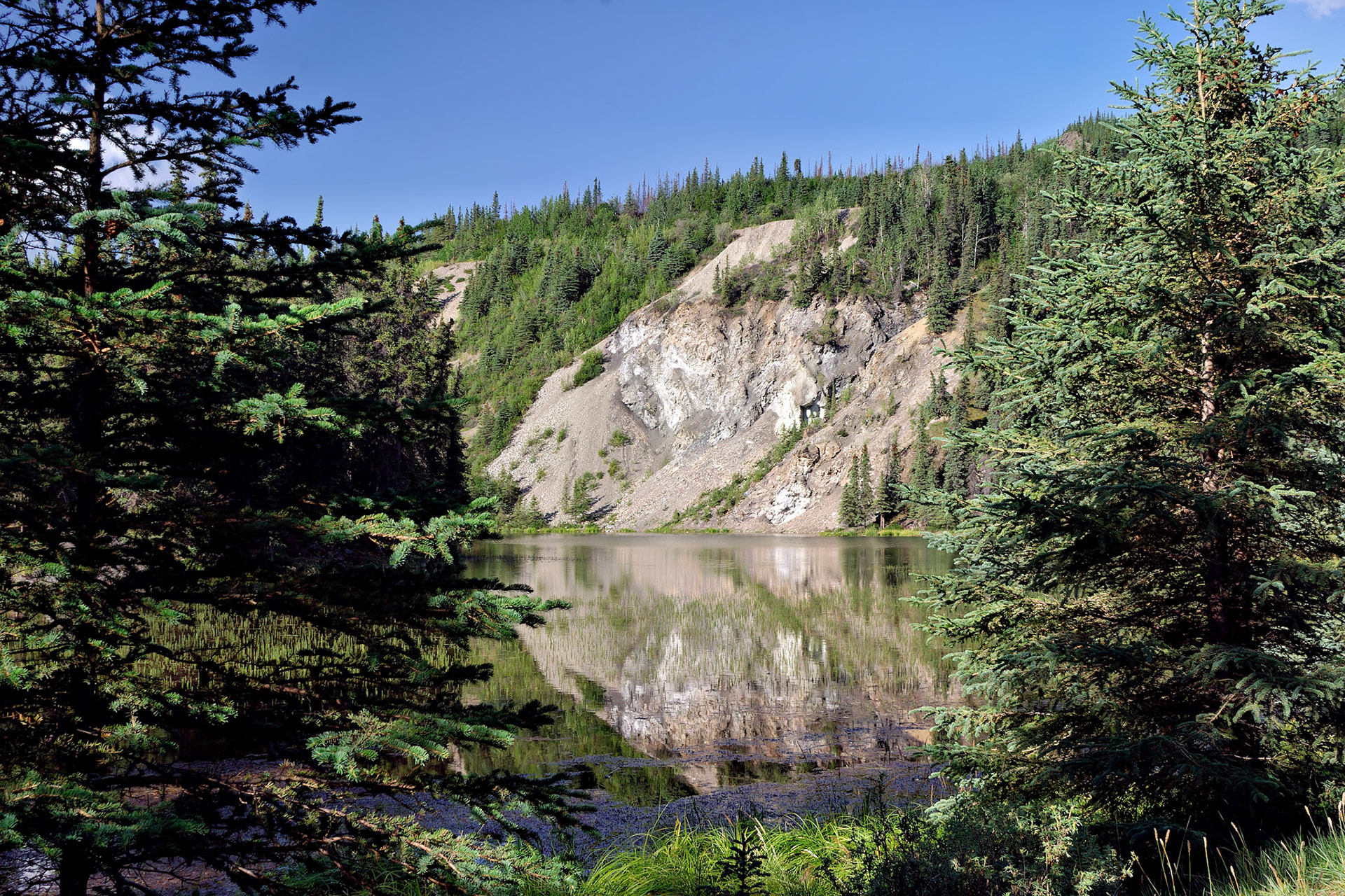 AK_20030808_0920_PS.dng