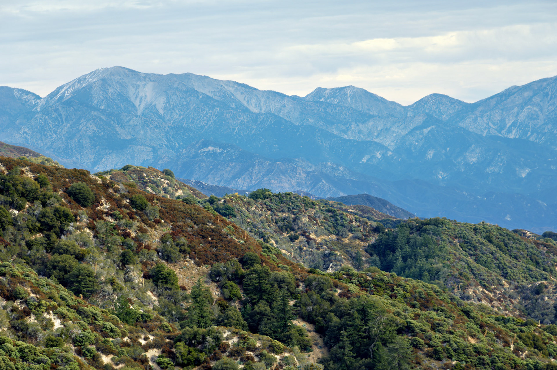 CA_LA_20051220_0277_PS