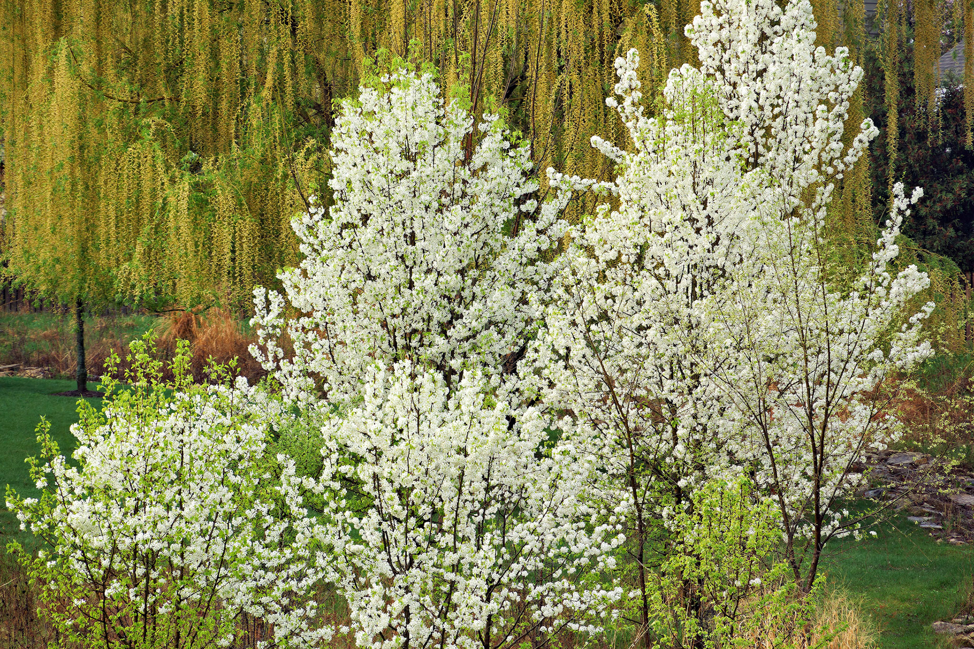 IL_20120323_0369_PS.tif