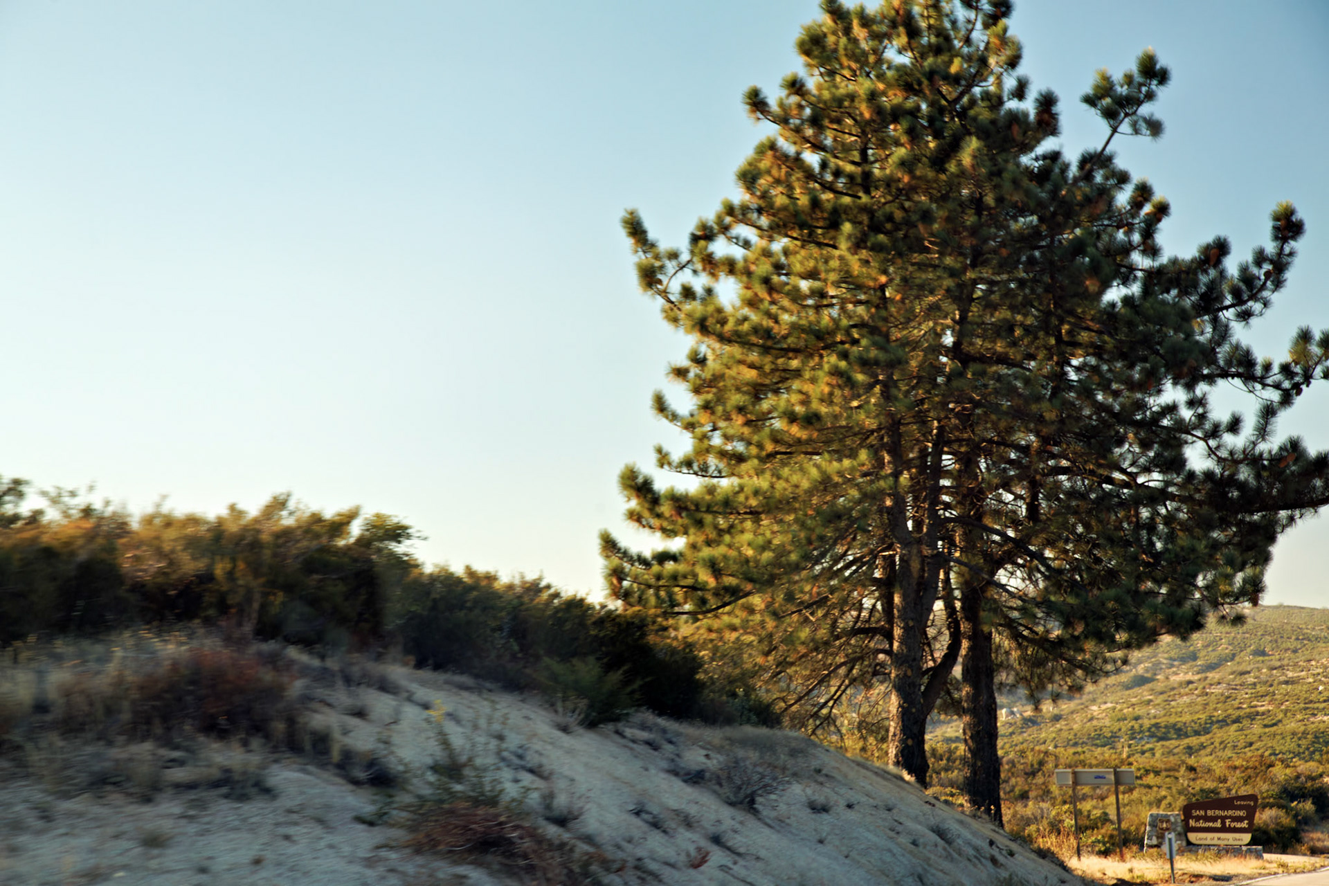CA_PalmSprings_20111116_0450_PS