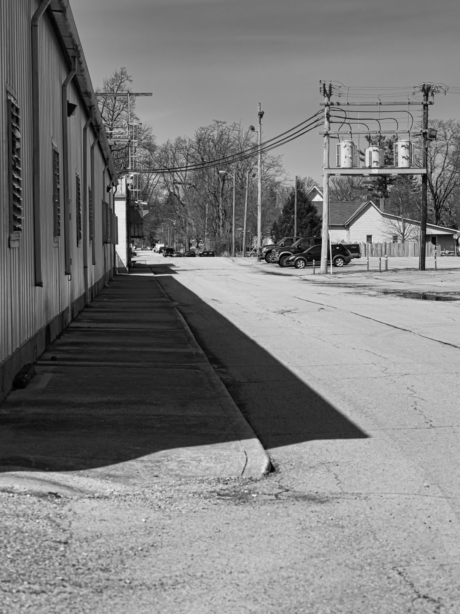 Black &amp; White 00246