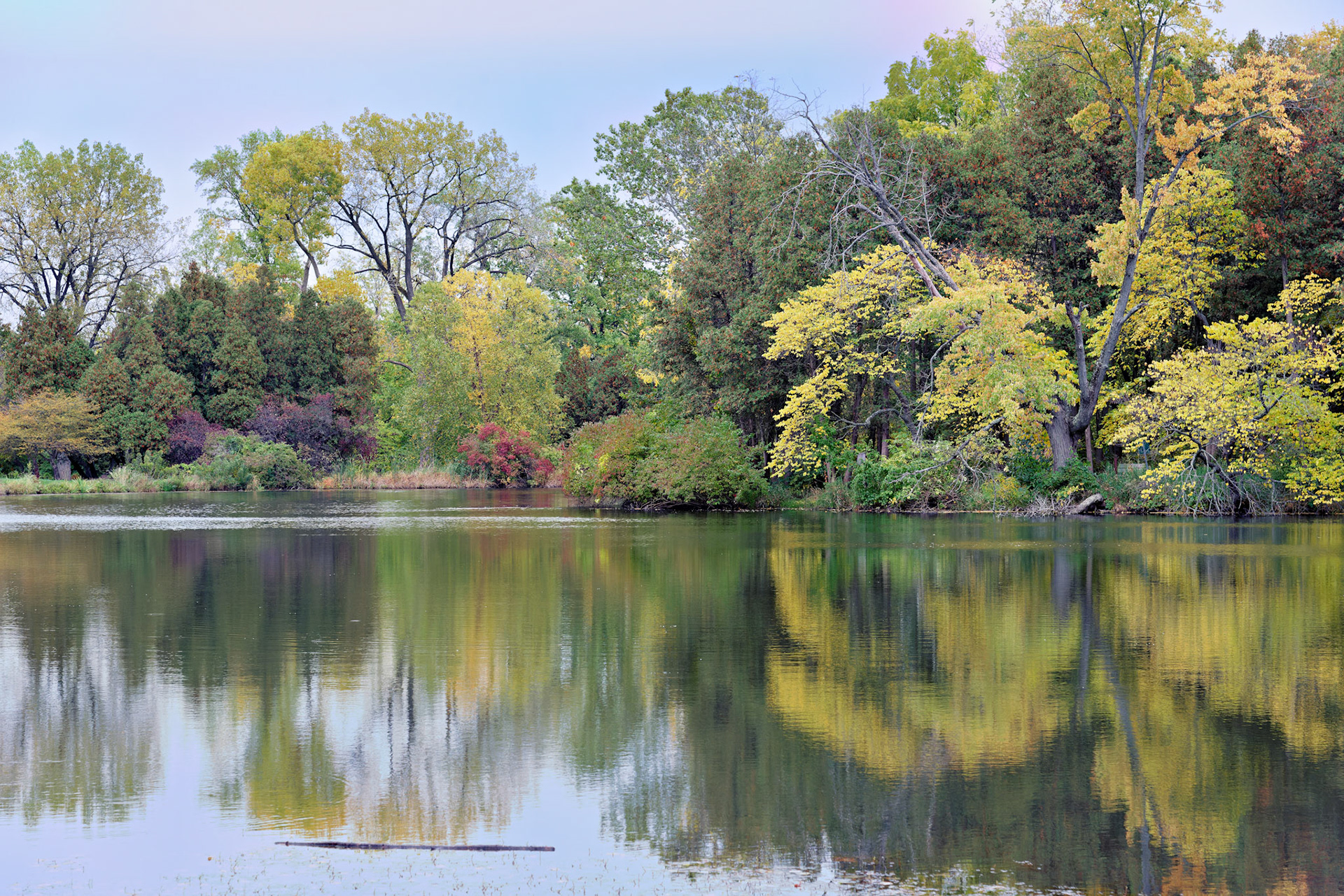 IL_Morton Arboretum_20121005_0555_PS