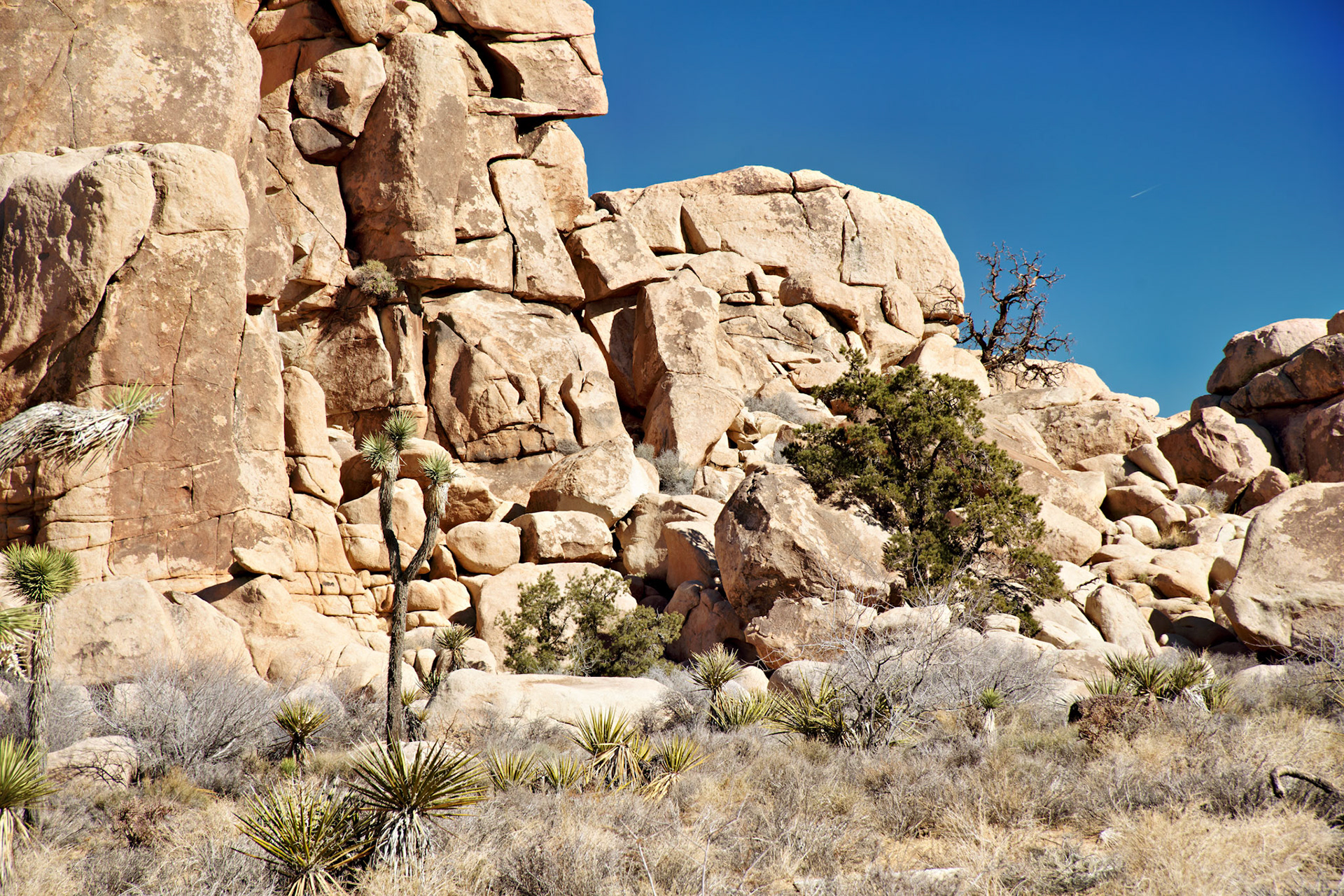 CA_PalmSprings_20090115_0212_PS