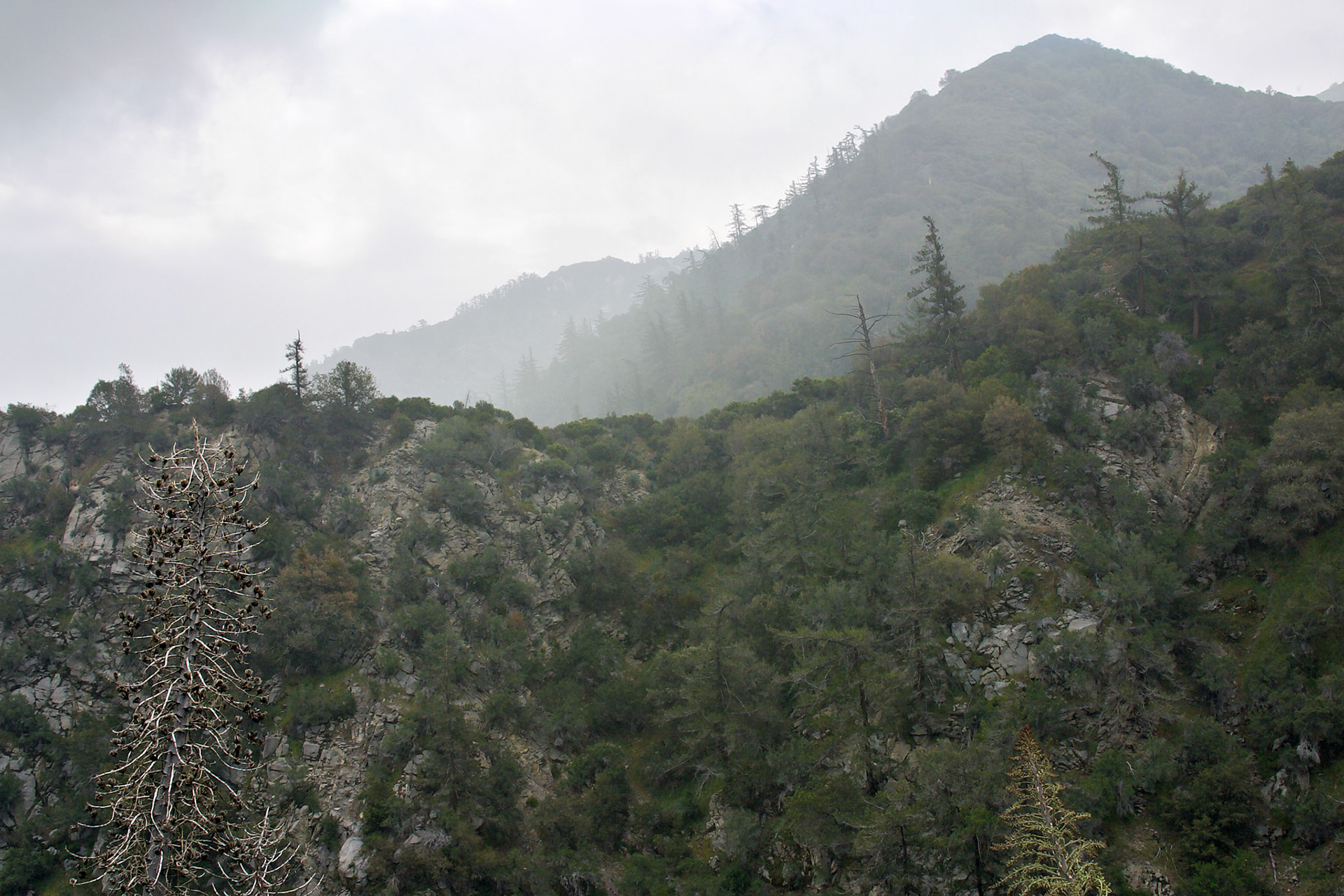 CA_LA_20030514_0036_PS