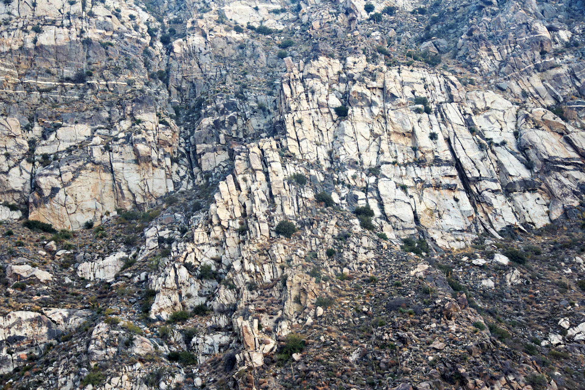 CA_PalmSprings_20111115_0384_PS