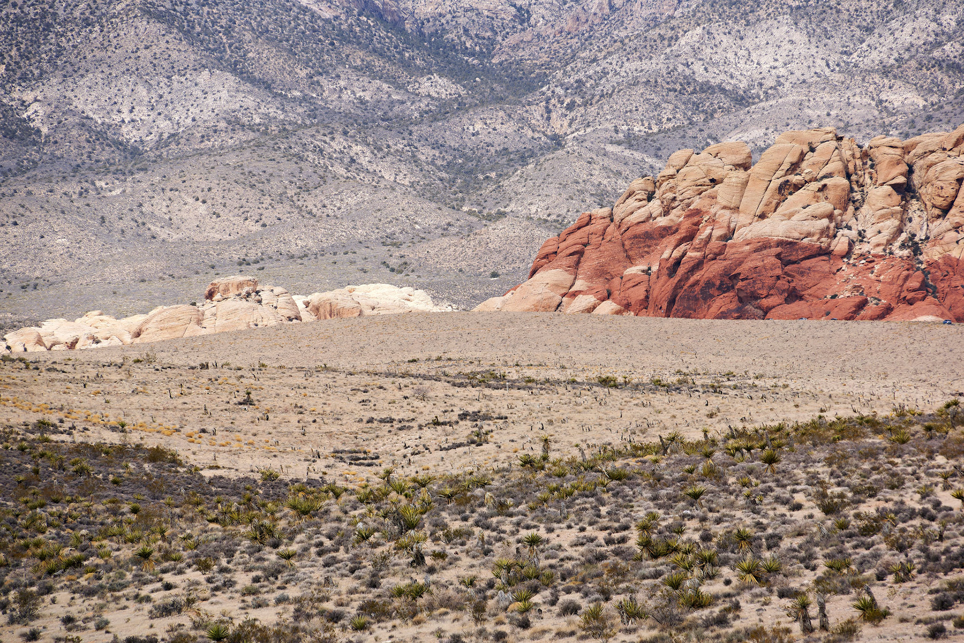 NV_Deserts_20120312_0030_PS.tif