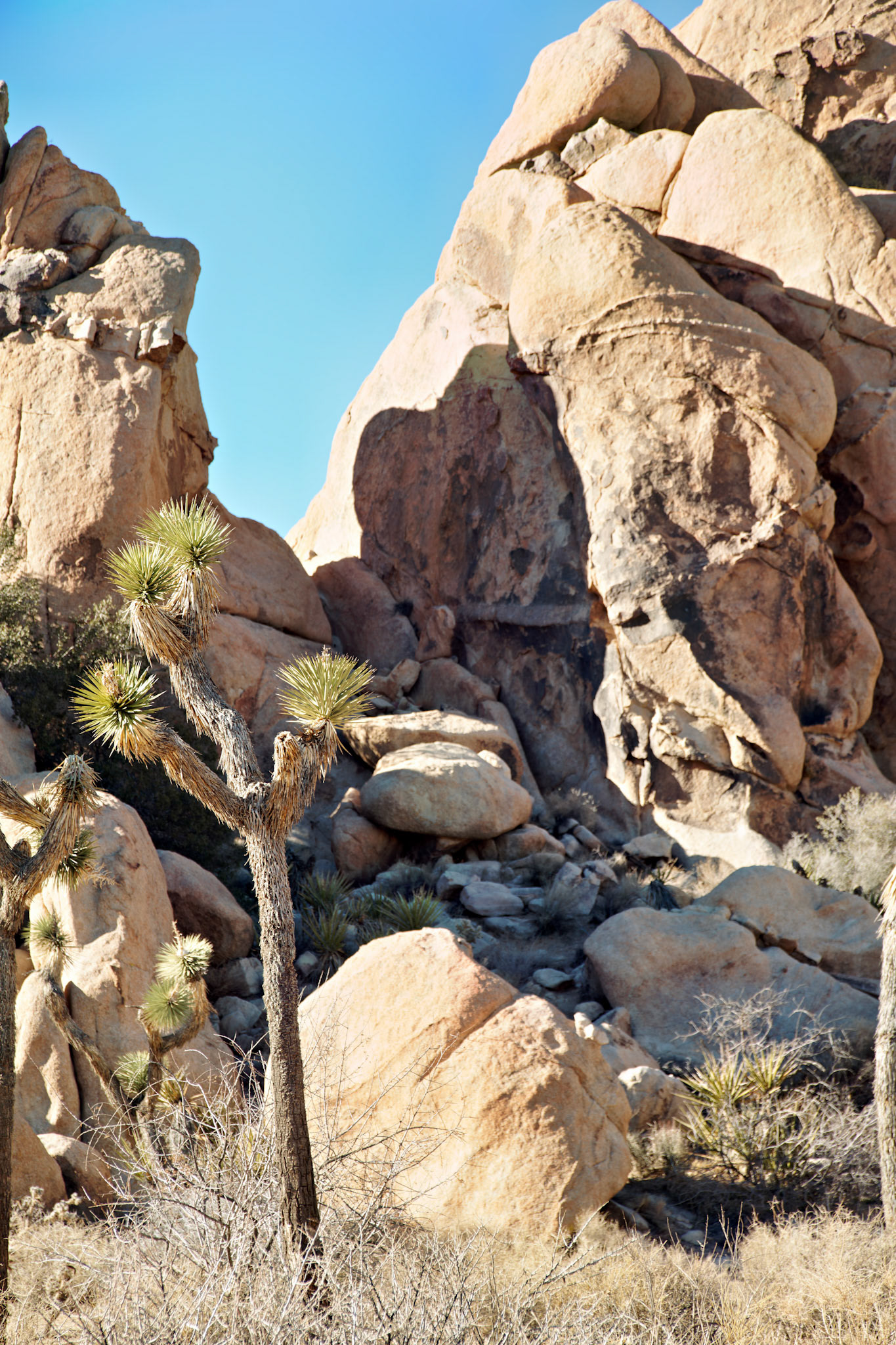 CA_PalmSprings_20090115_0263_PS