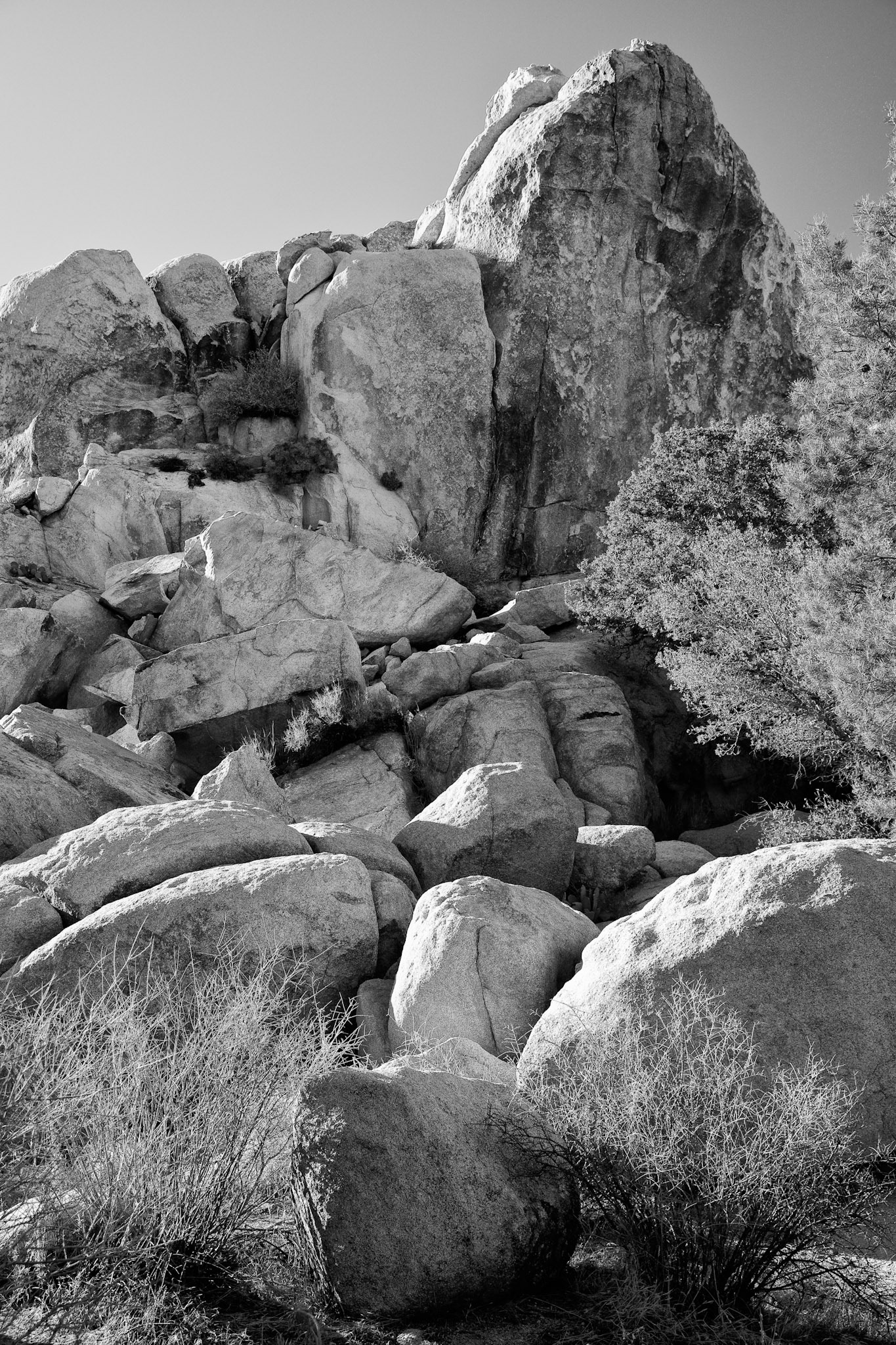 Black &amp; White Photos