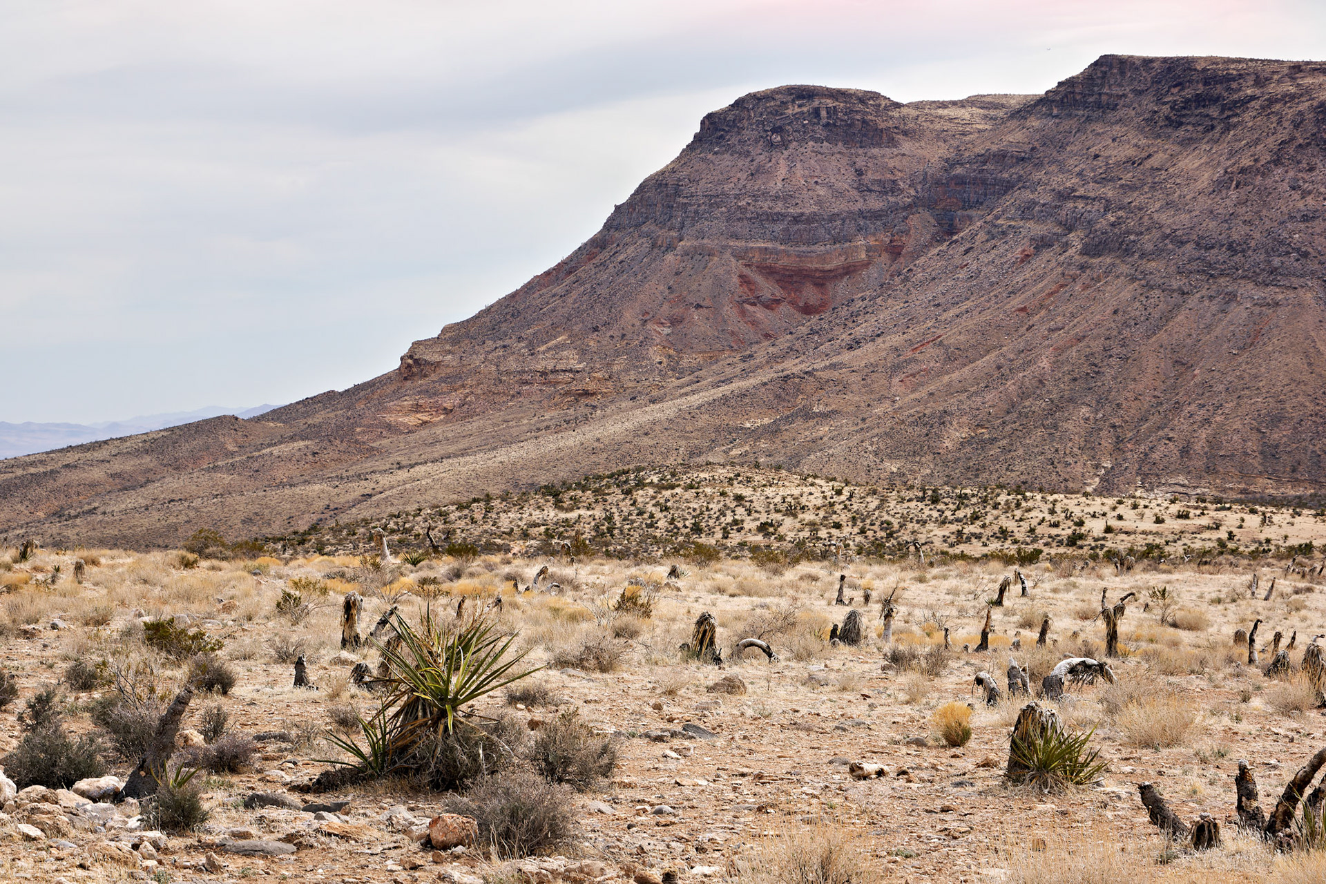 NV_Deserts_20120312_0038_PS.tif