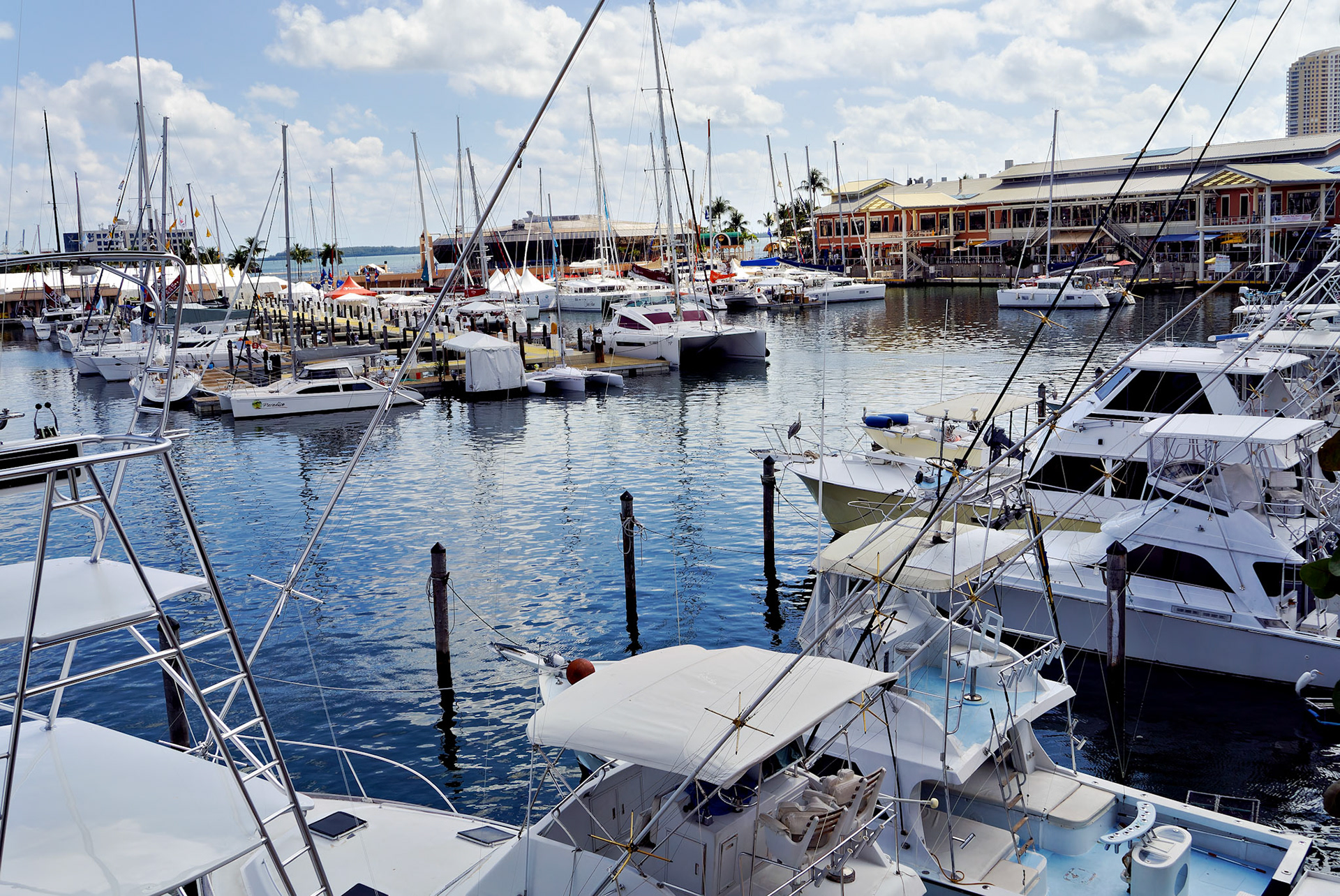 FL_Miami_20120214_0111_PS