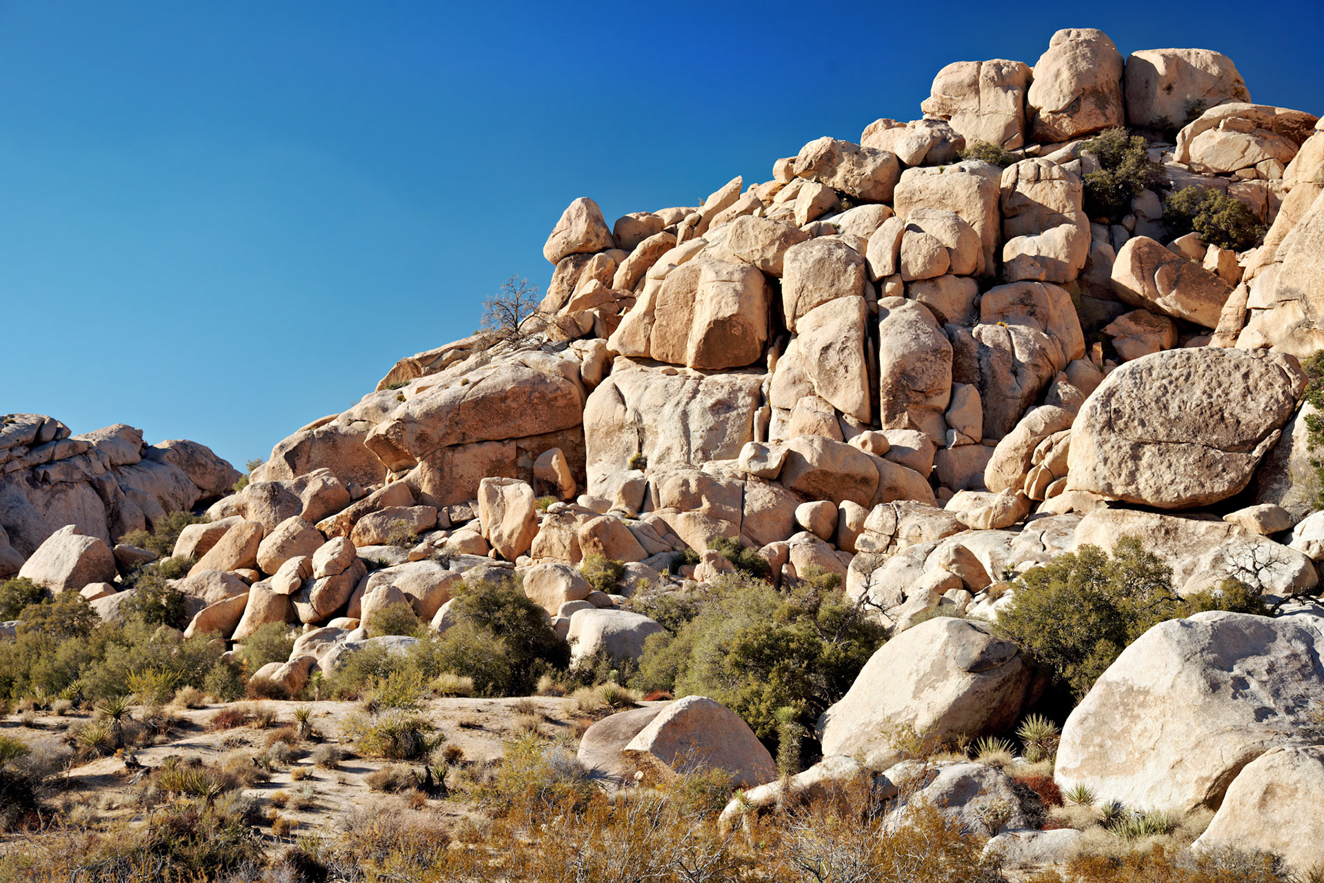 CA_JoshuaTree_20111114_0227_PS