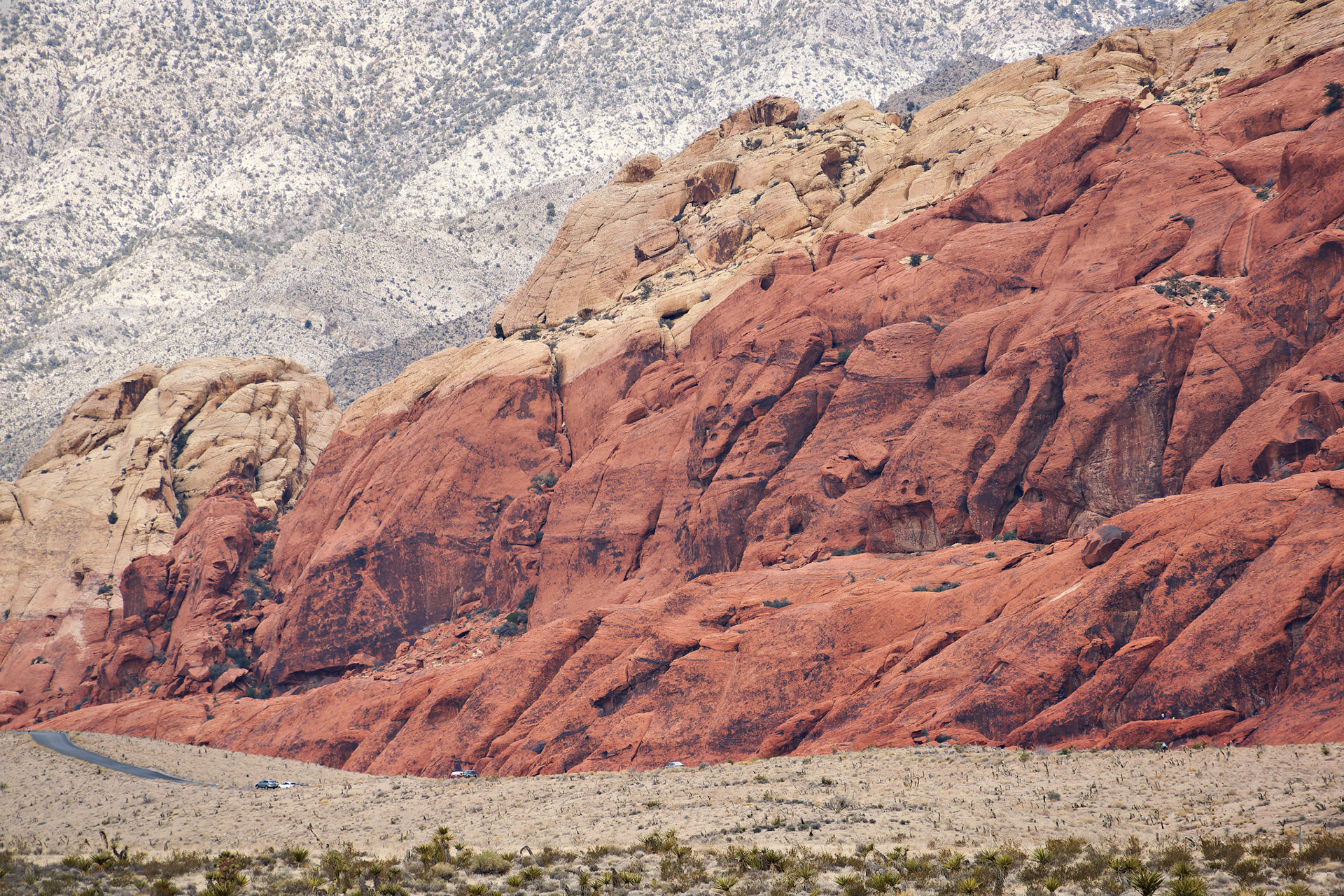 NV_Deserts_20120312_0029_PS.tif