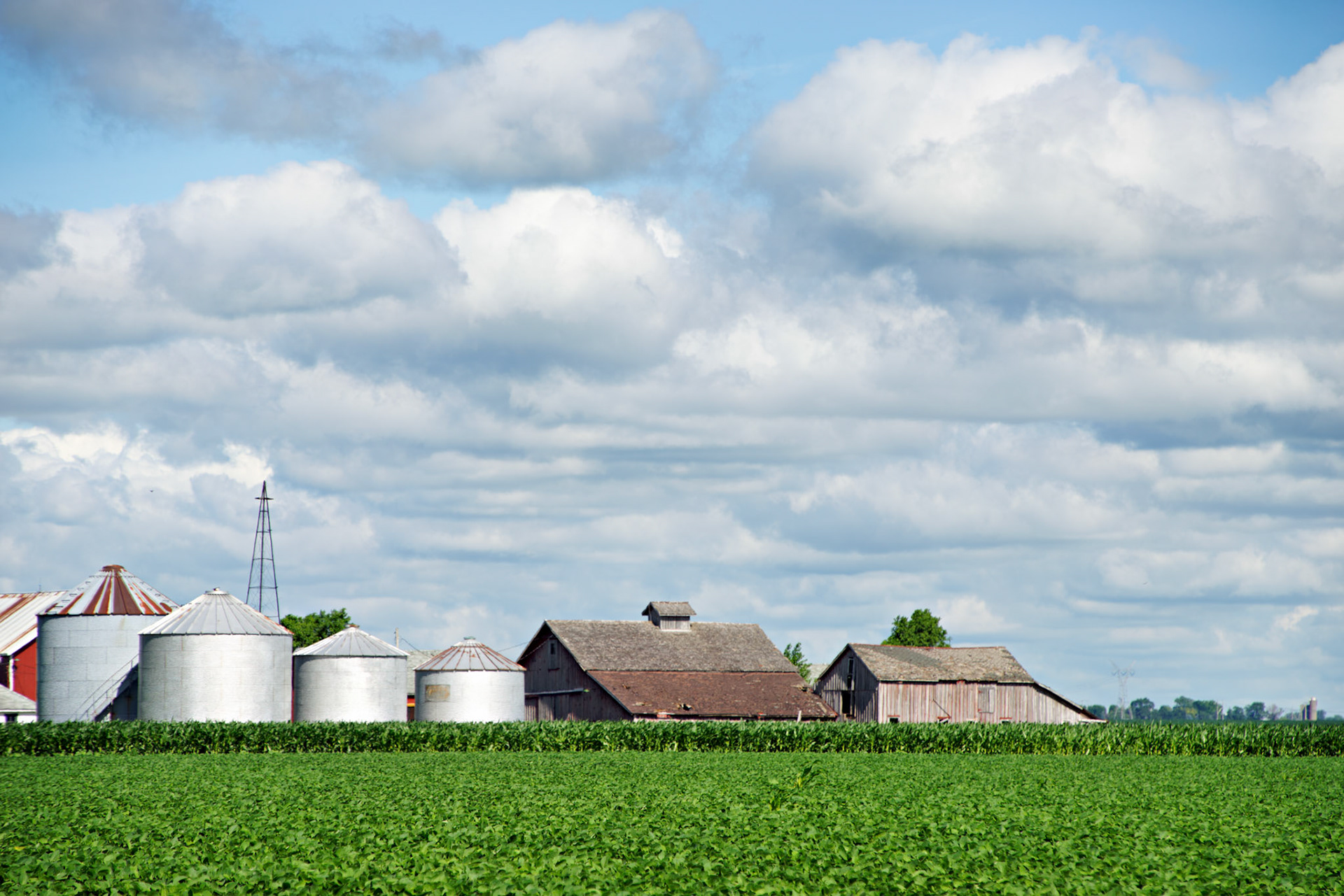 IL_20140701_0529_PS.tif