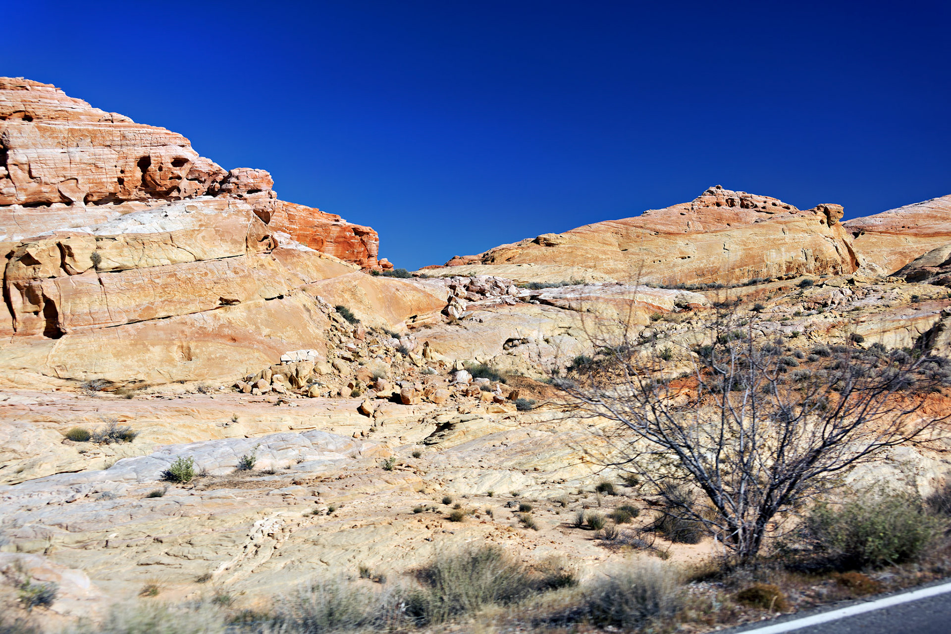 NV_Deserts_20120313_0179_PS.tif
