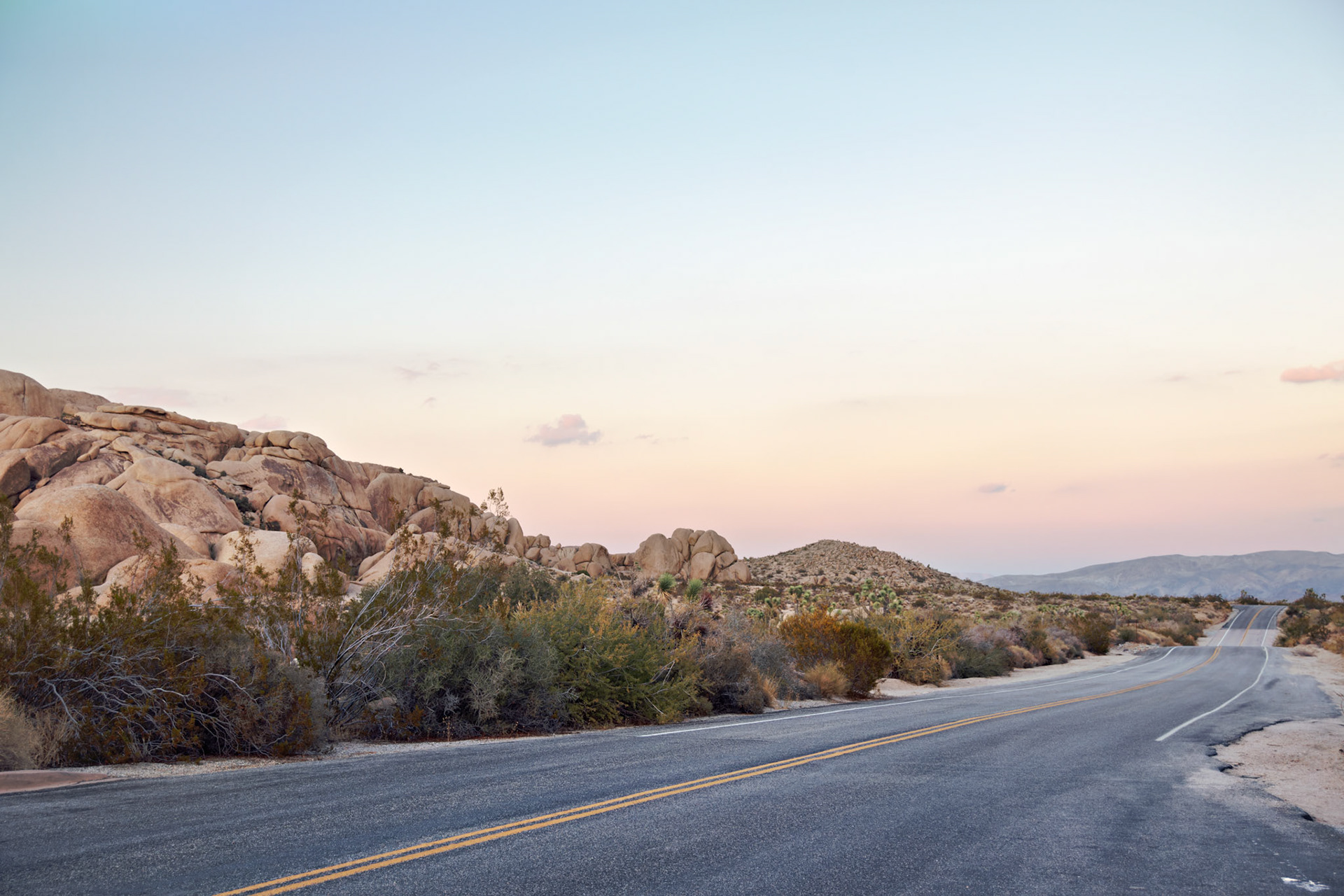 CA_JoshuaTree_20111114_0290_PS
