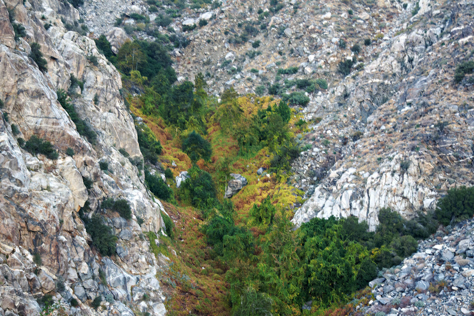 CA_PalmSprings_20111115_0388_PS