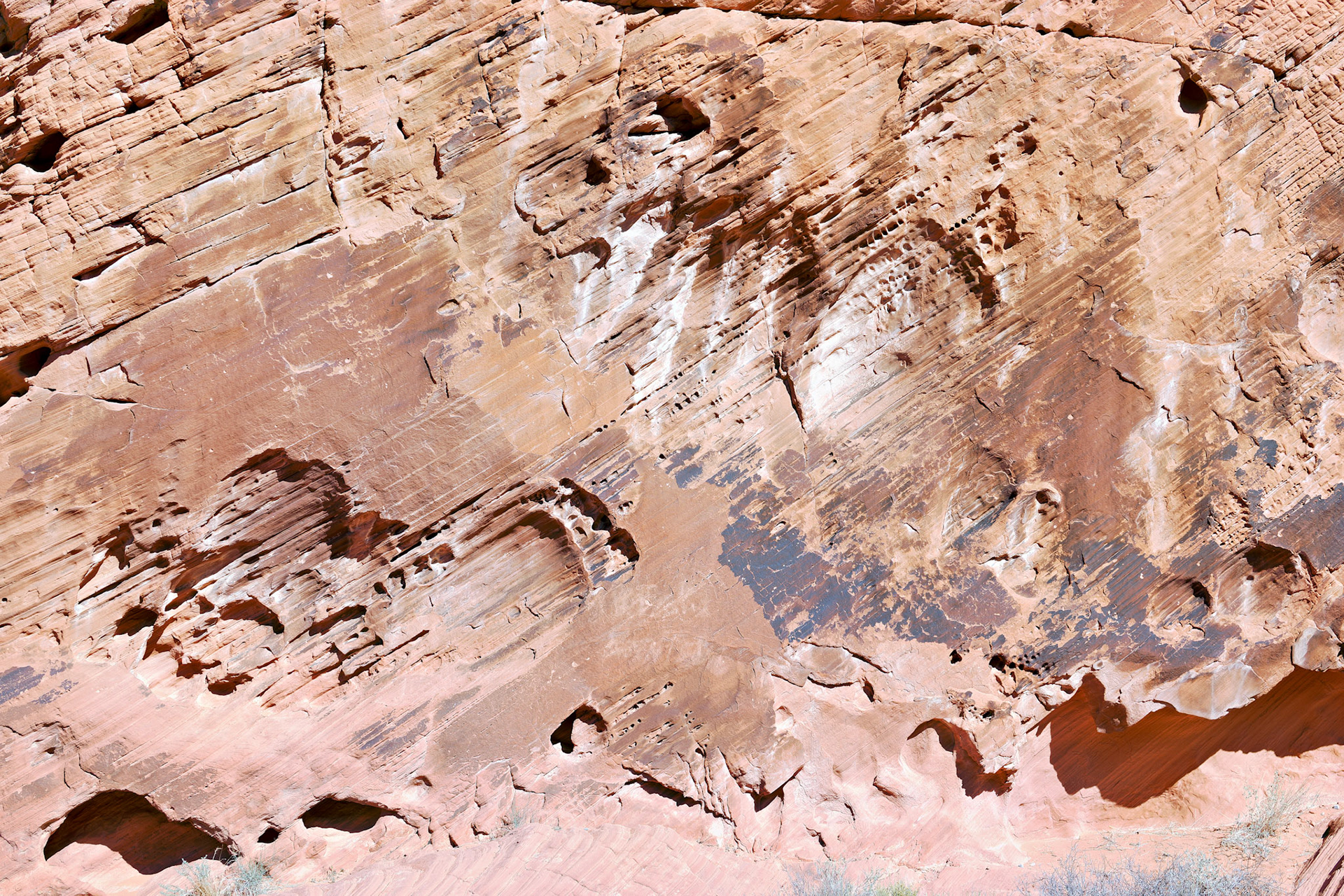 NV_Deserts_20120313_0138_PS.tif