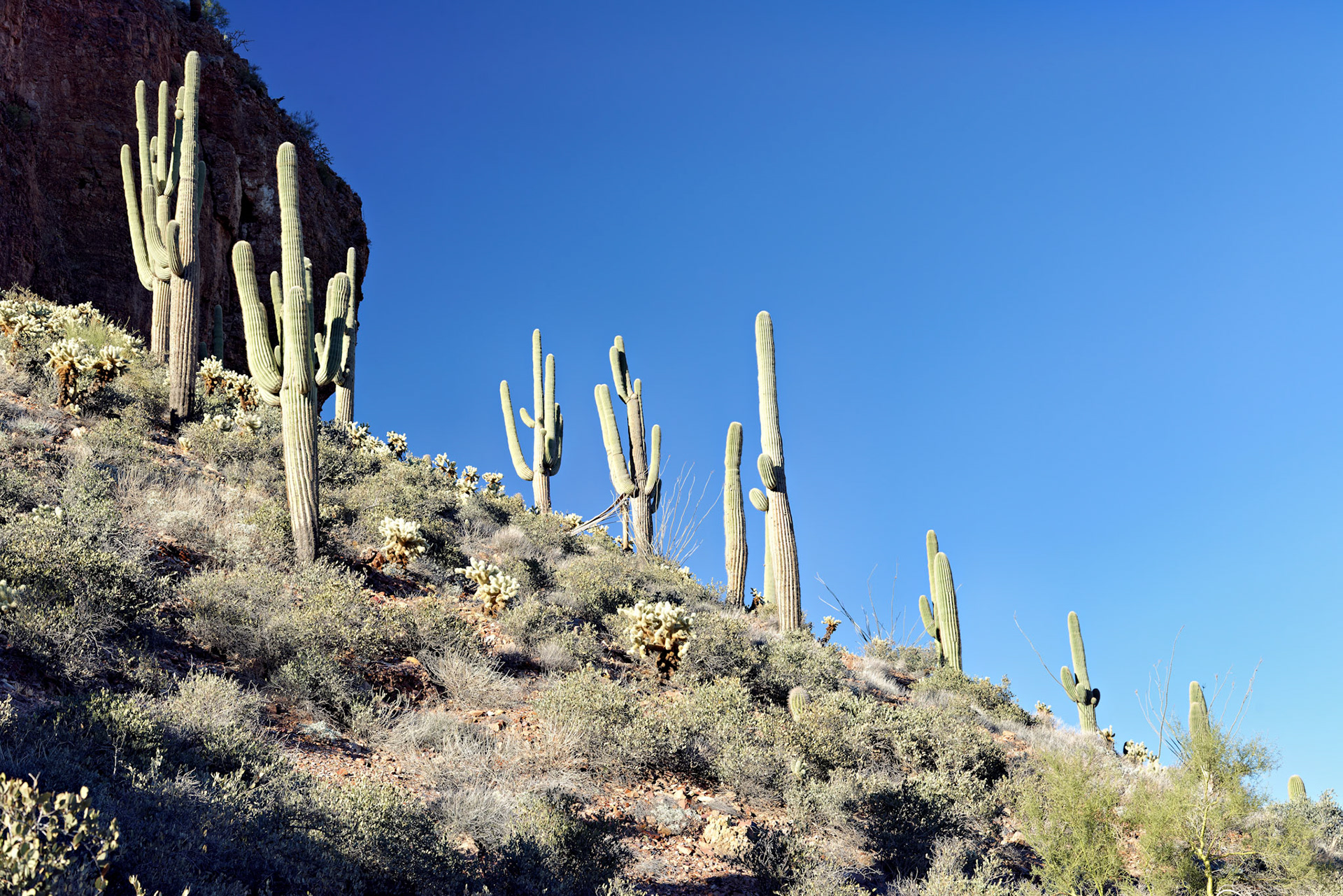 AZ_20121210_0440_PS