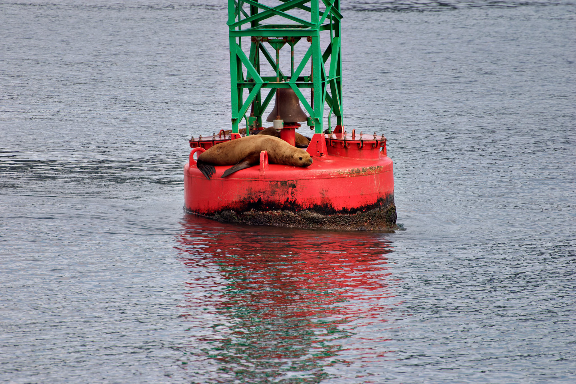 AK_20030731_0216_PS.dng
