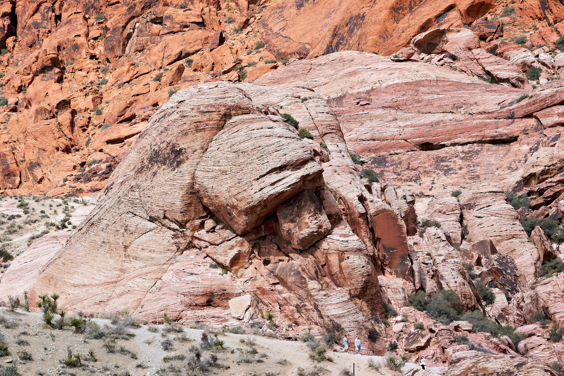 NV_Deserts_20120312_0039_PS.tif