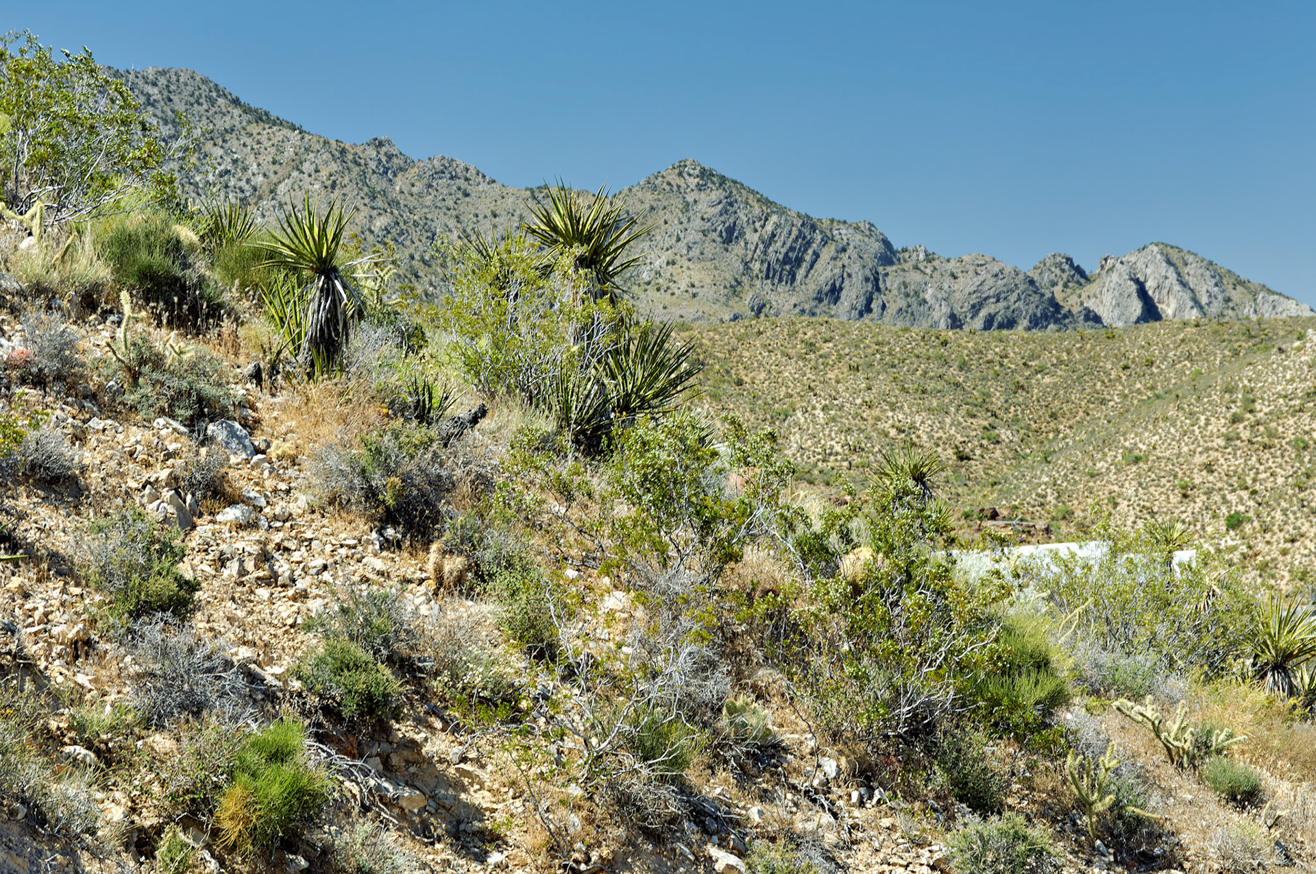 CA_20050614_0150_PS