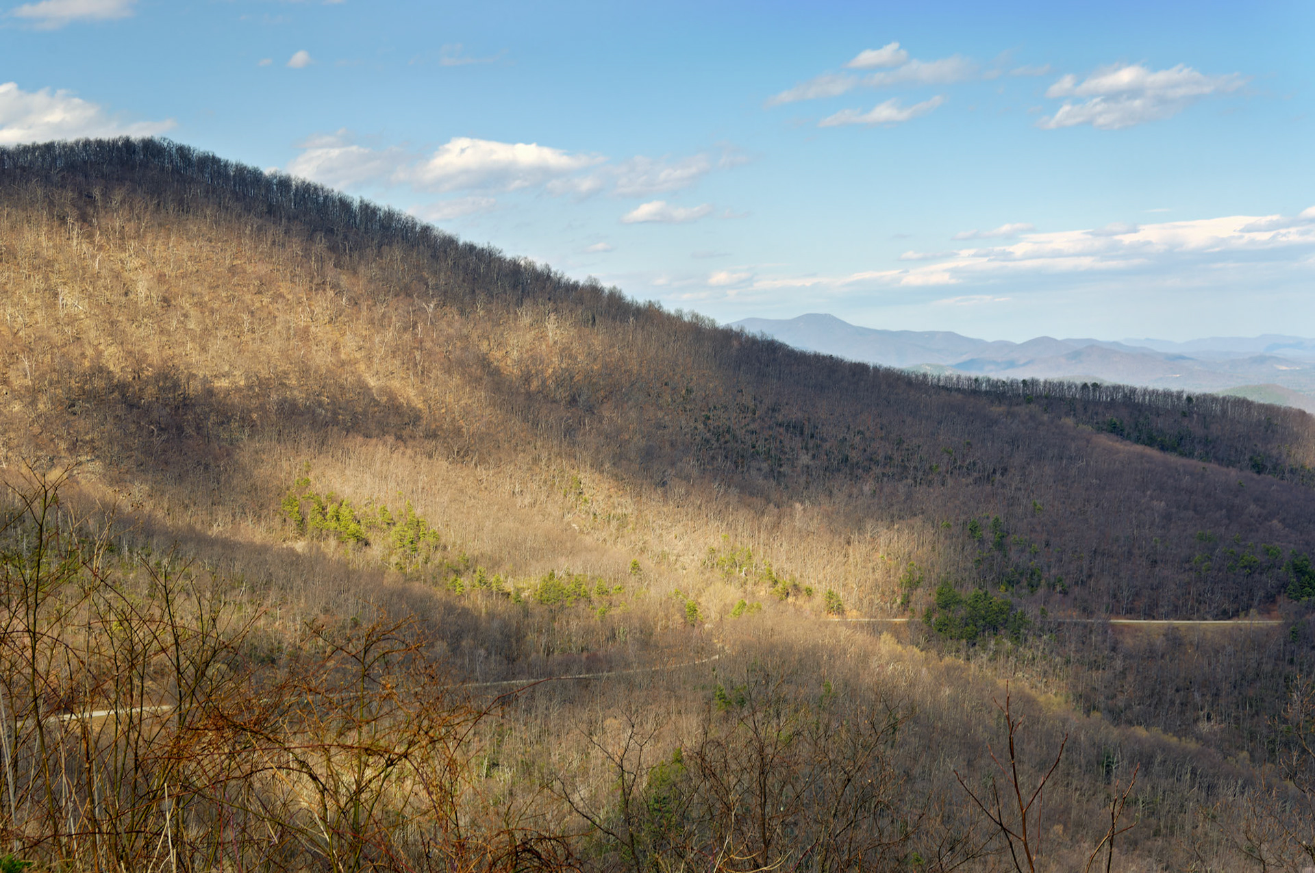 VA_BlueRidge_20060405_0115_PS