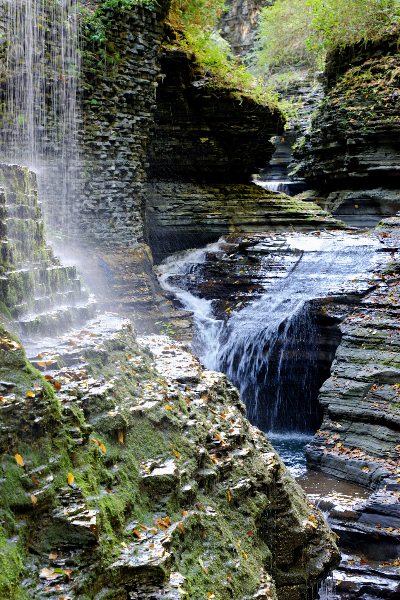 NY_FingerLakes_20120927_0179 (1)_PS
