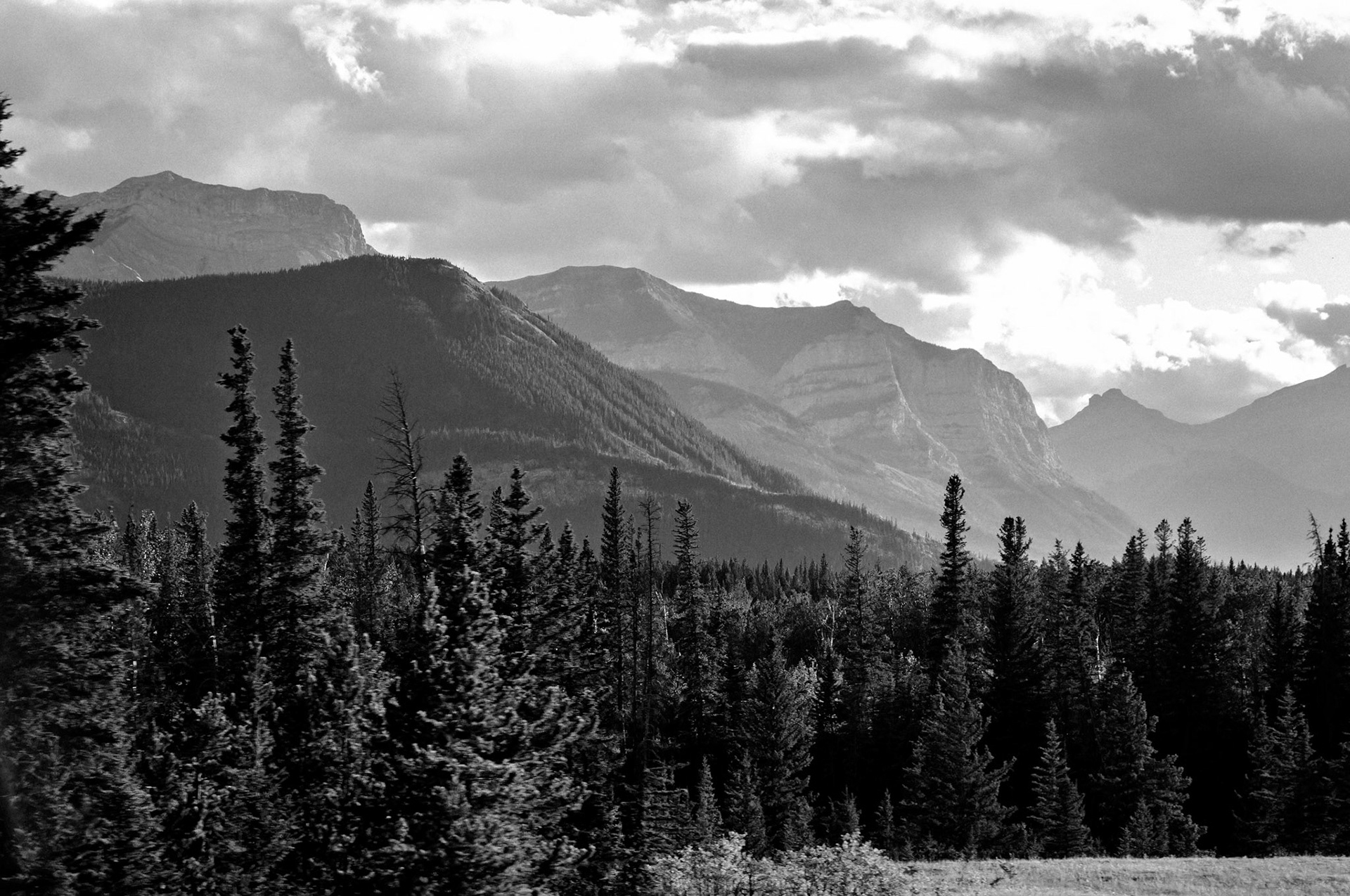 CN_20060731_0441_PS_BW.dng