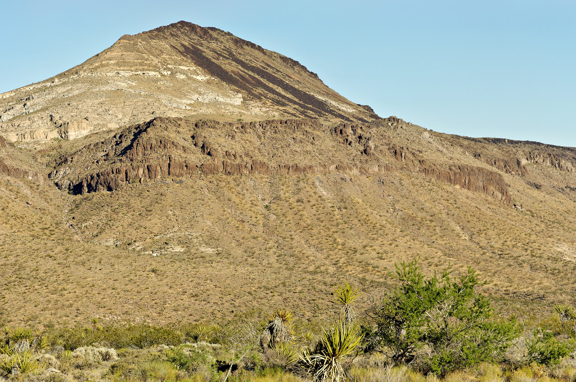 CA_20050614_0204_PS