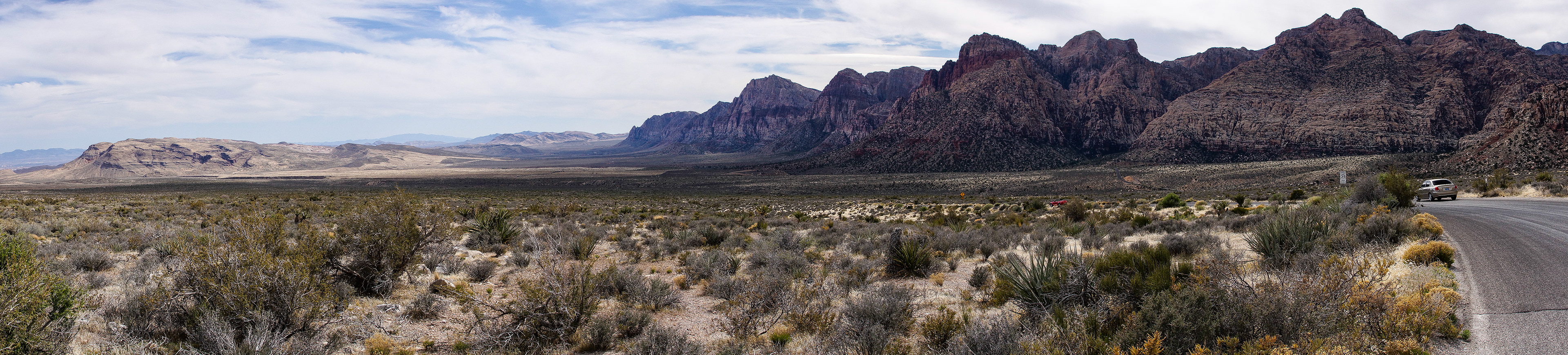 NV_Deserts_20120312_0080_PS