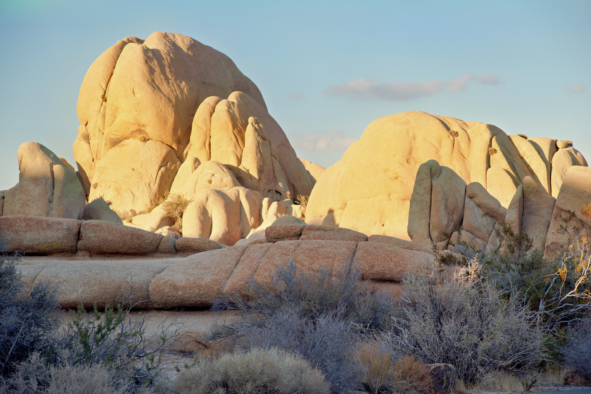 CA_JoshuaTree_20111114_0274_PS
