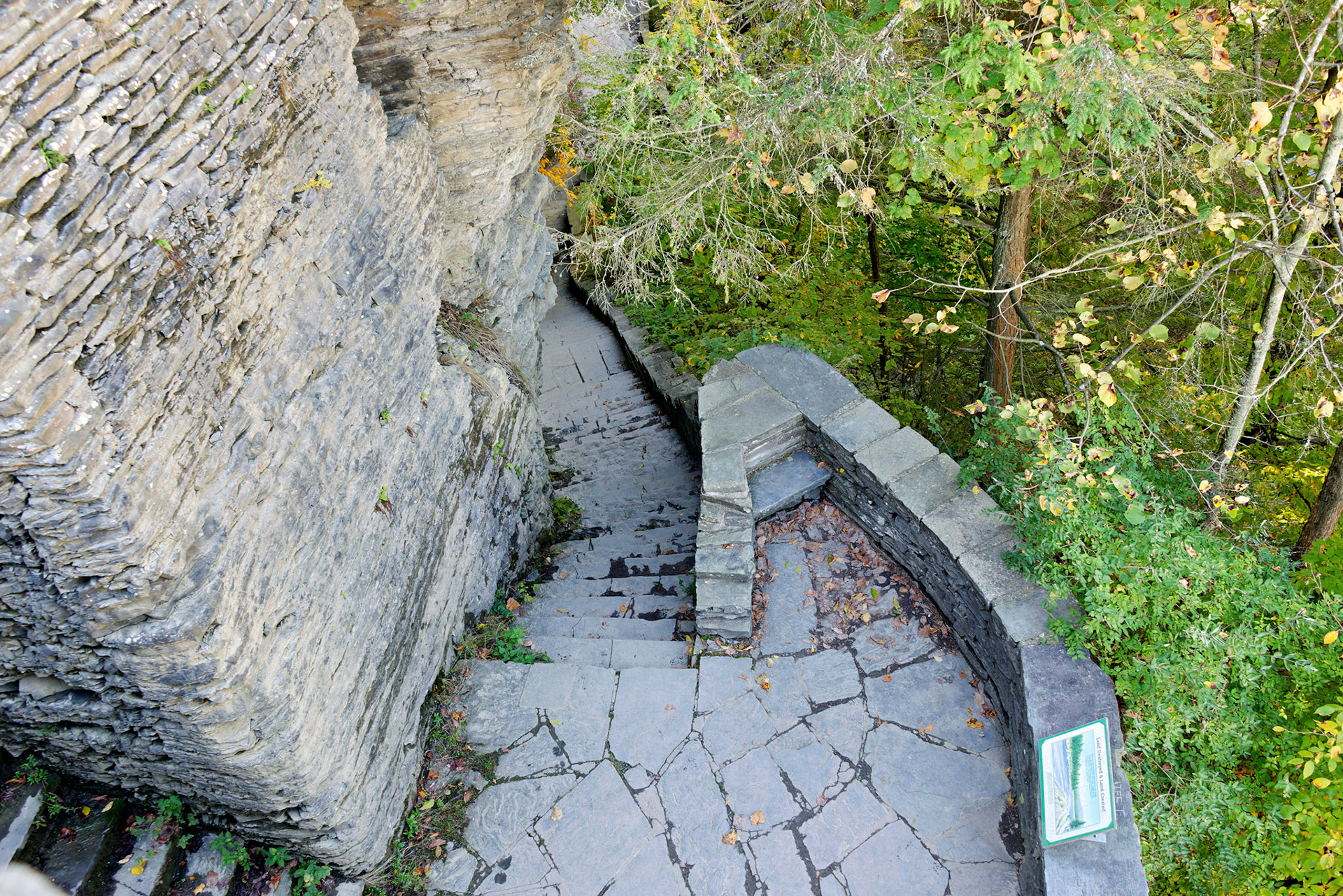 NY_FingerLakes_20120927_0245_PS.tif