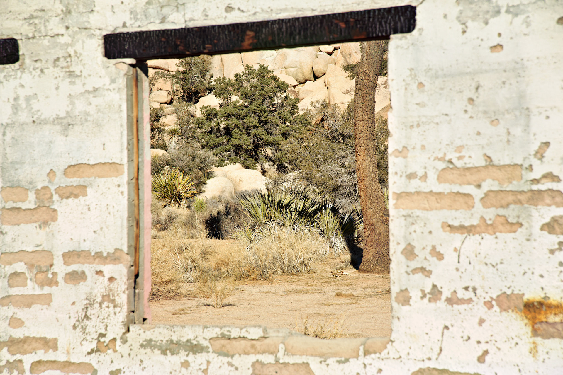 CA_PalmSprings_20090115_0275_PS