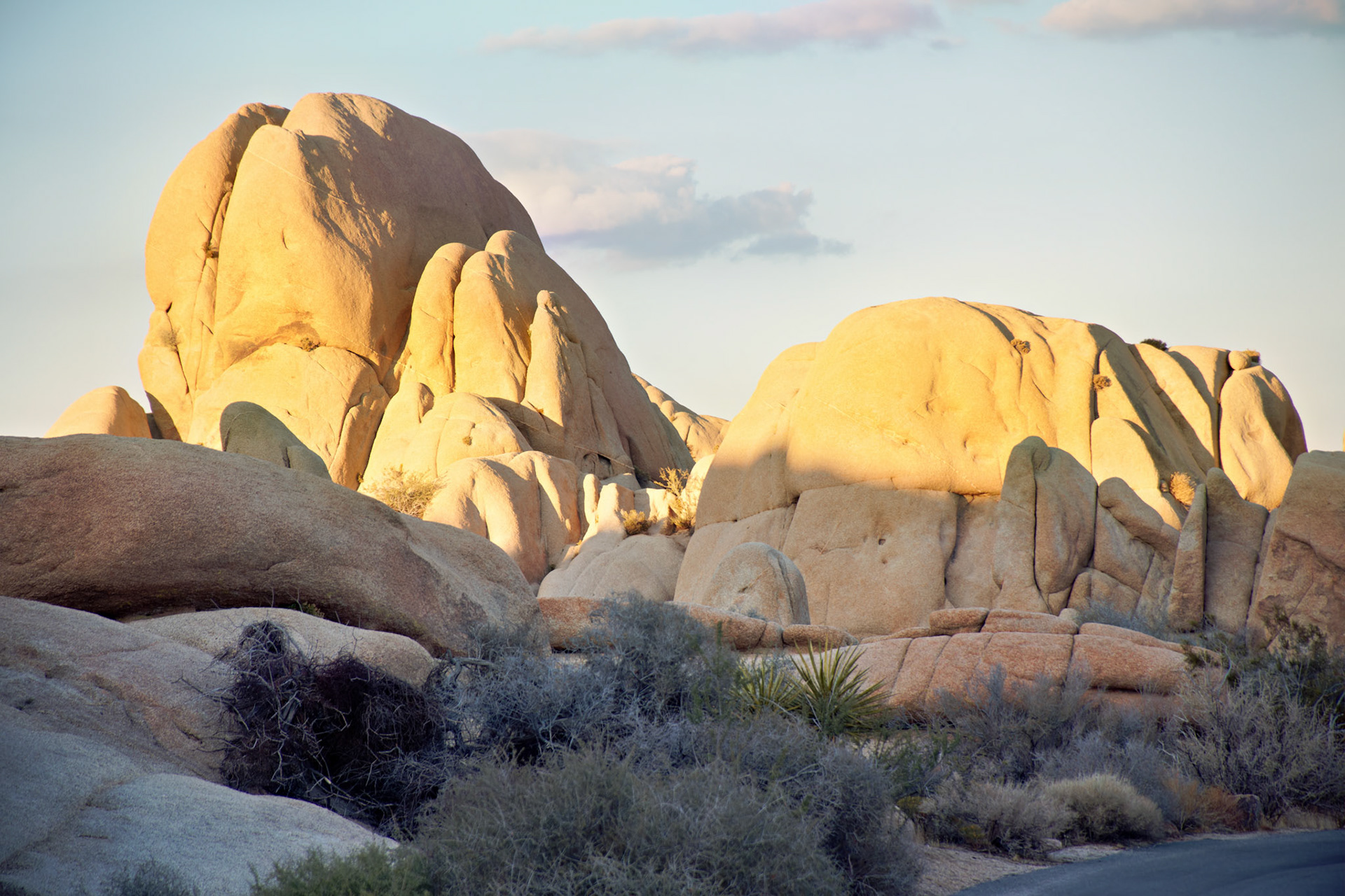 CA_JoshuaTree_20111114_0278_PS