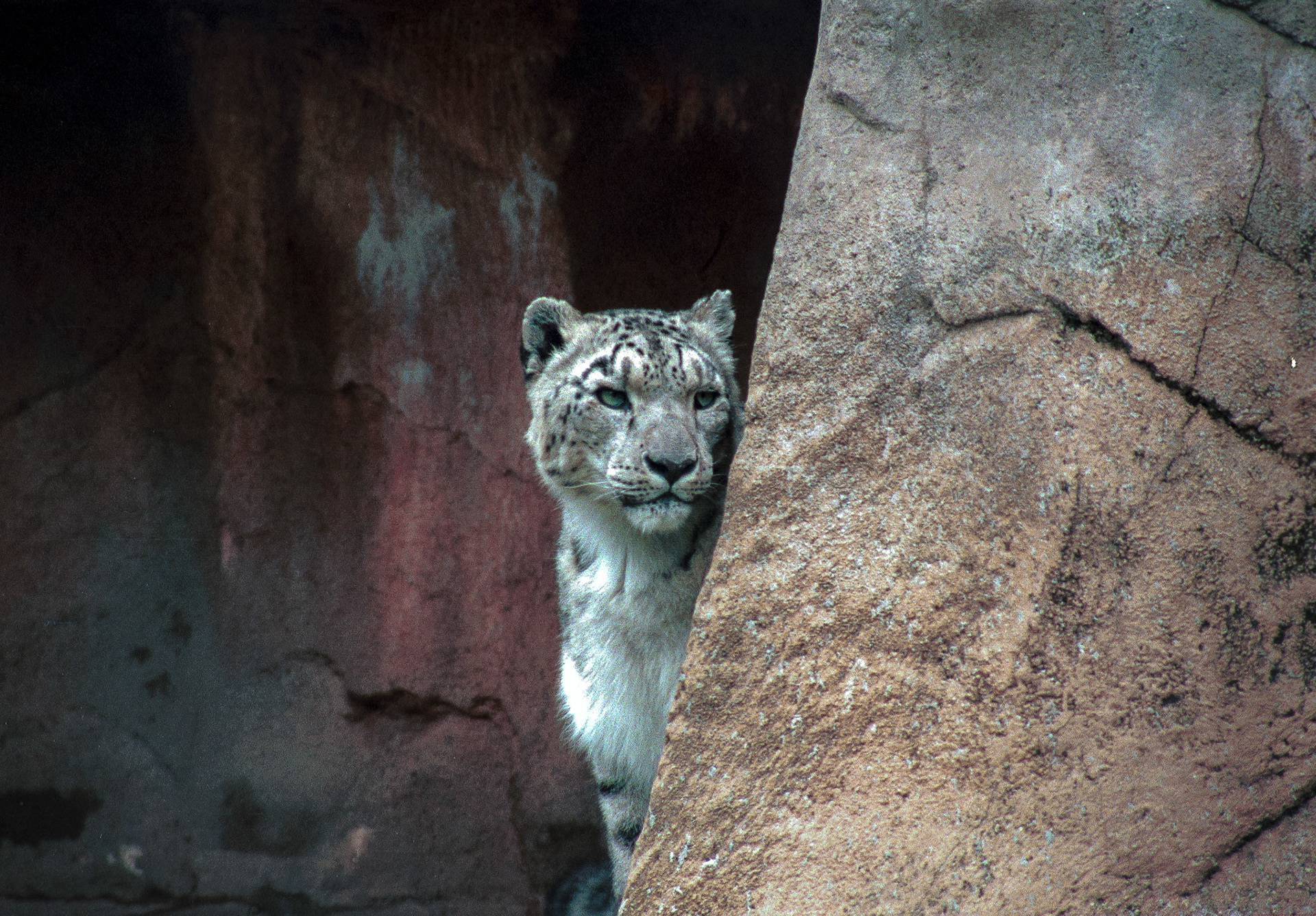 Wildlife_FIAW029-2